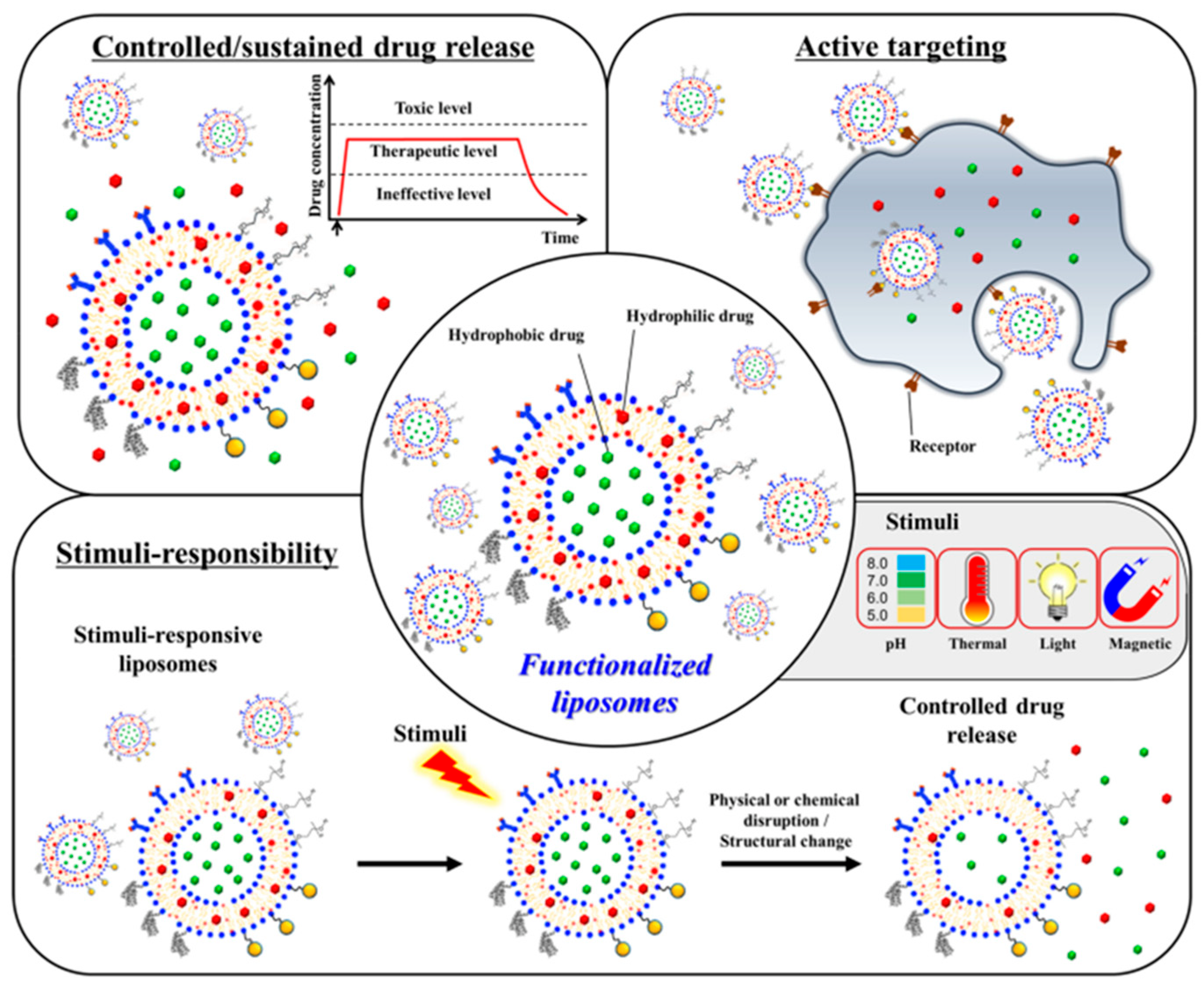 Biomedicines 10 03158 g002