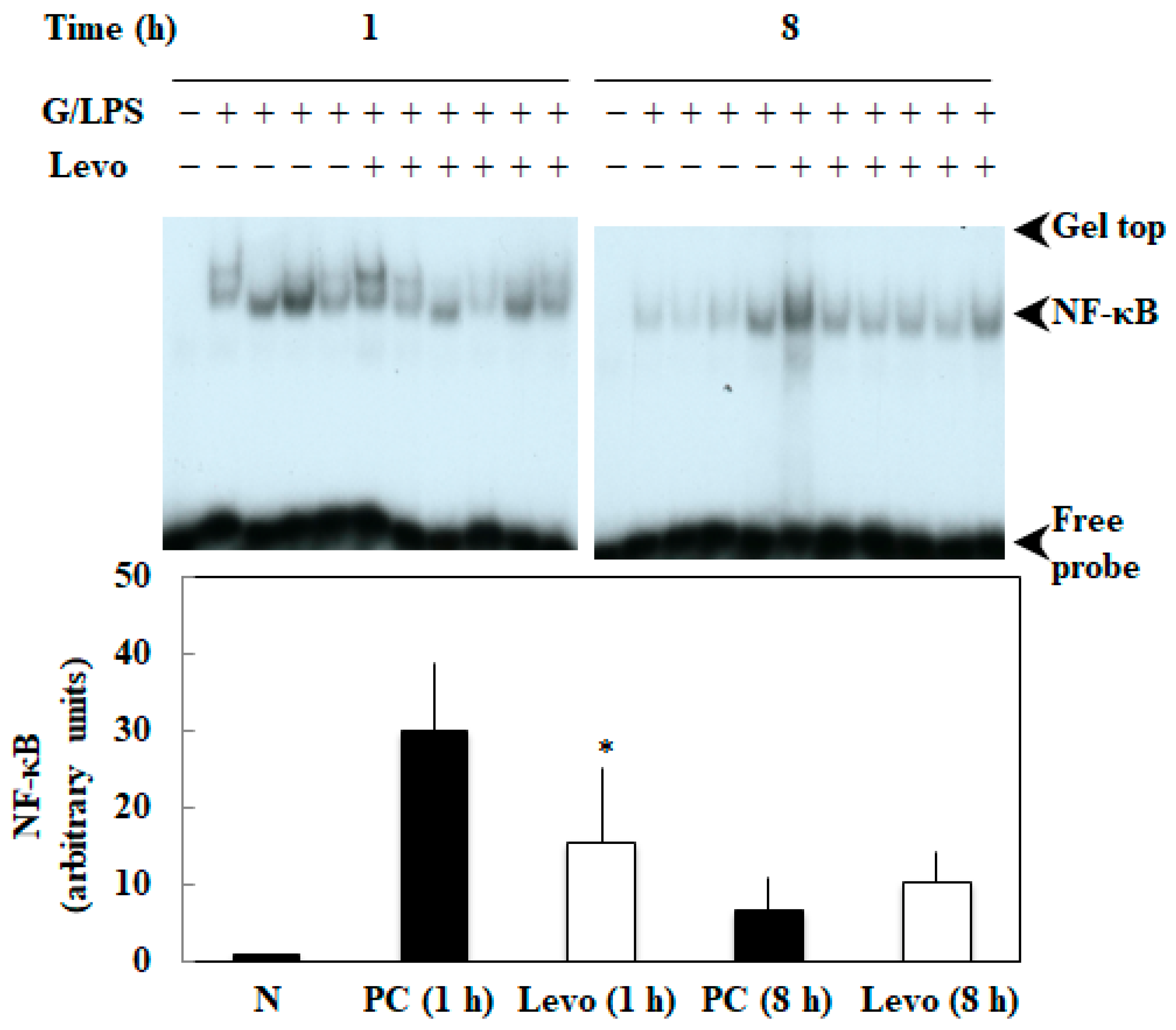 Biomedicines 10 03161 g002 Biomedicines 10 03161 g002
