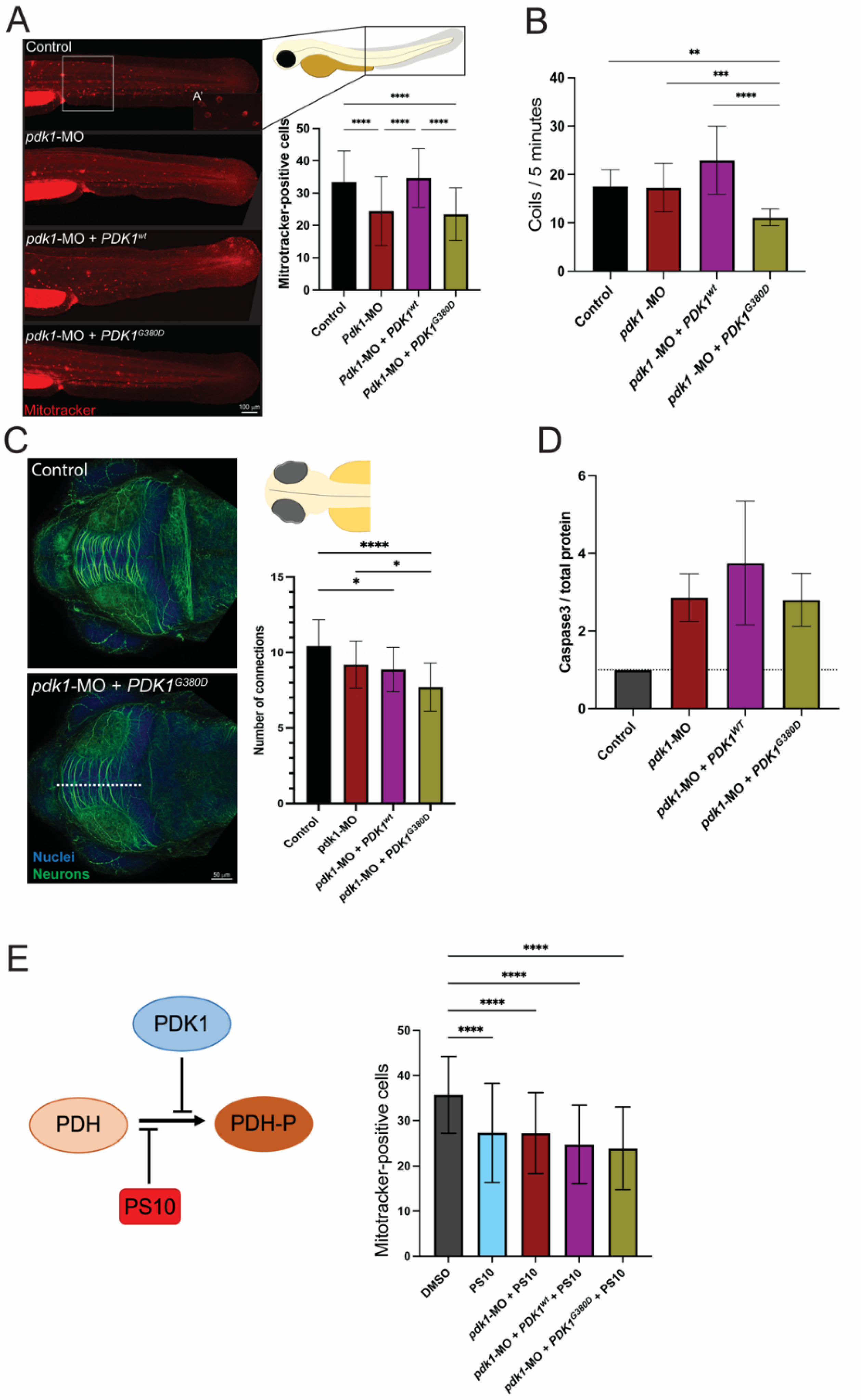 Biomedicines 10 03171 g003 Biomedicines 10 03171 g003
