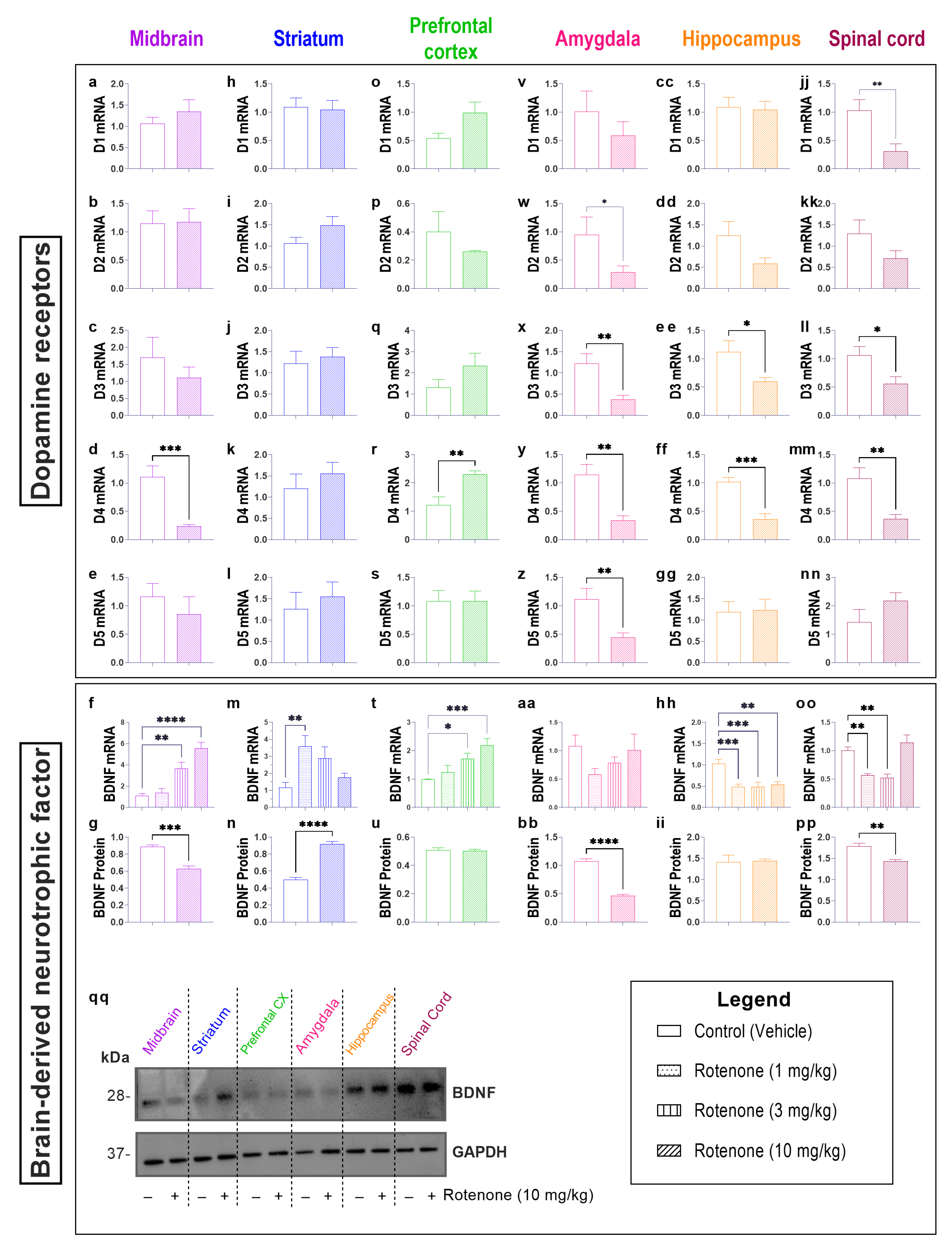 Biomedicines 10 03174 g003 Biomedicines 10 03174 g003