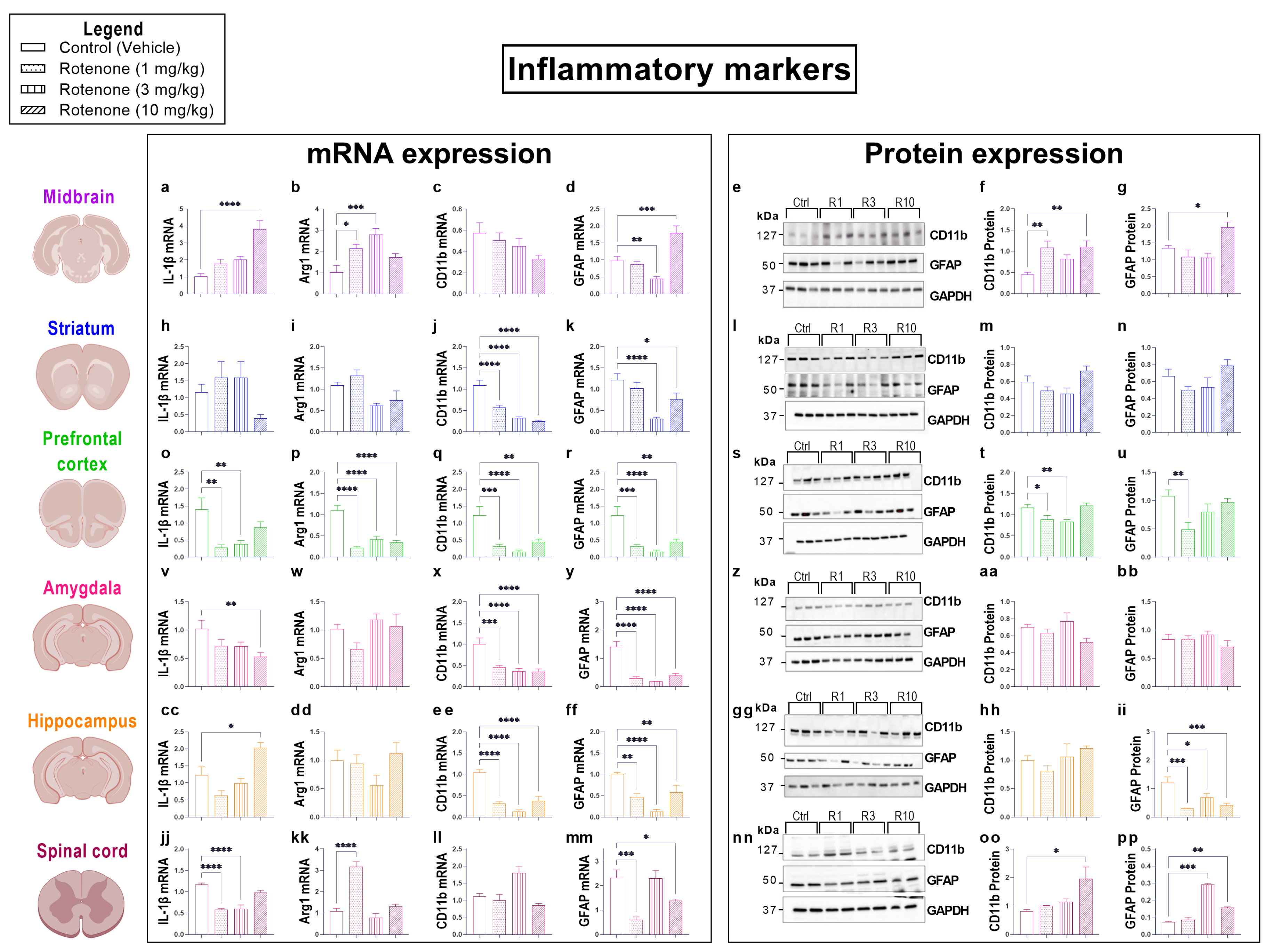 Biomedicines 10 03174 g005 Biomedicines 10 03174 g005