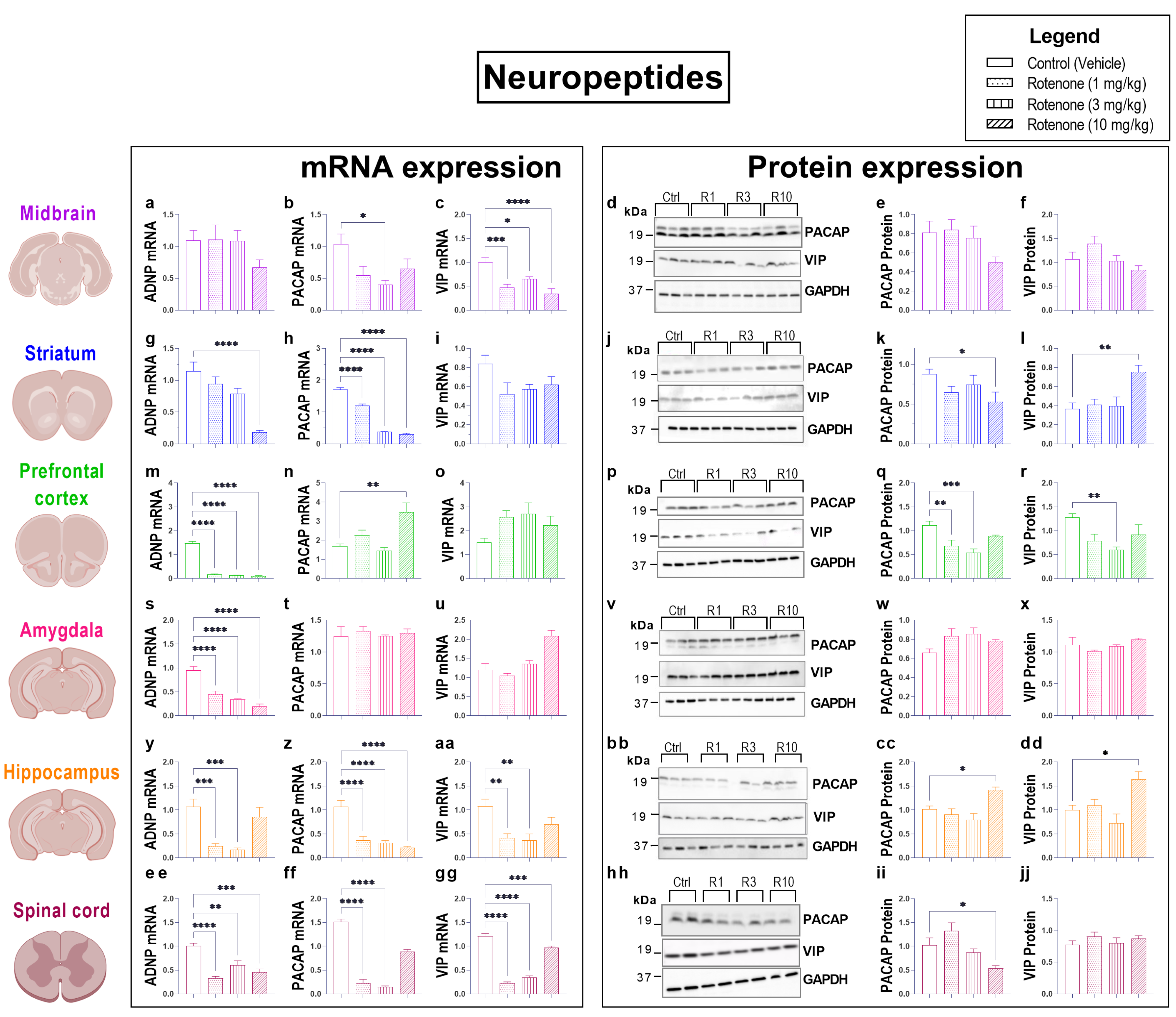 Biomedicines 10 03174 g006 Biomedicines 10 03174 g006