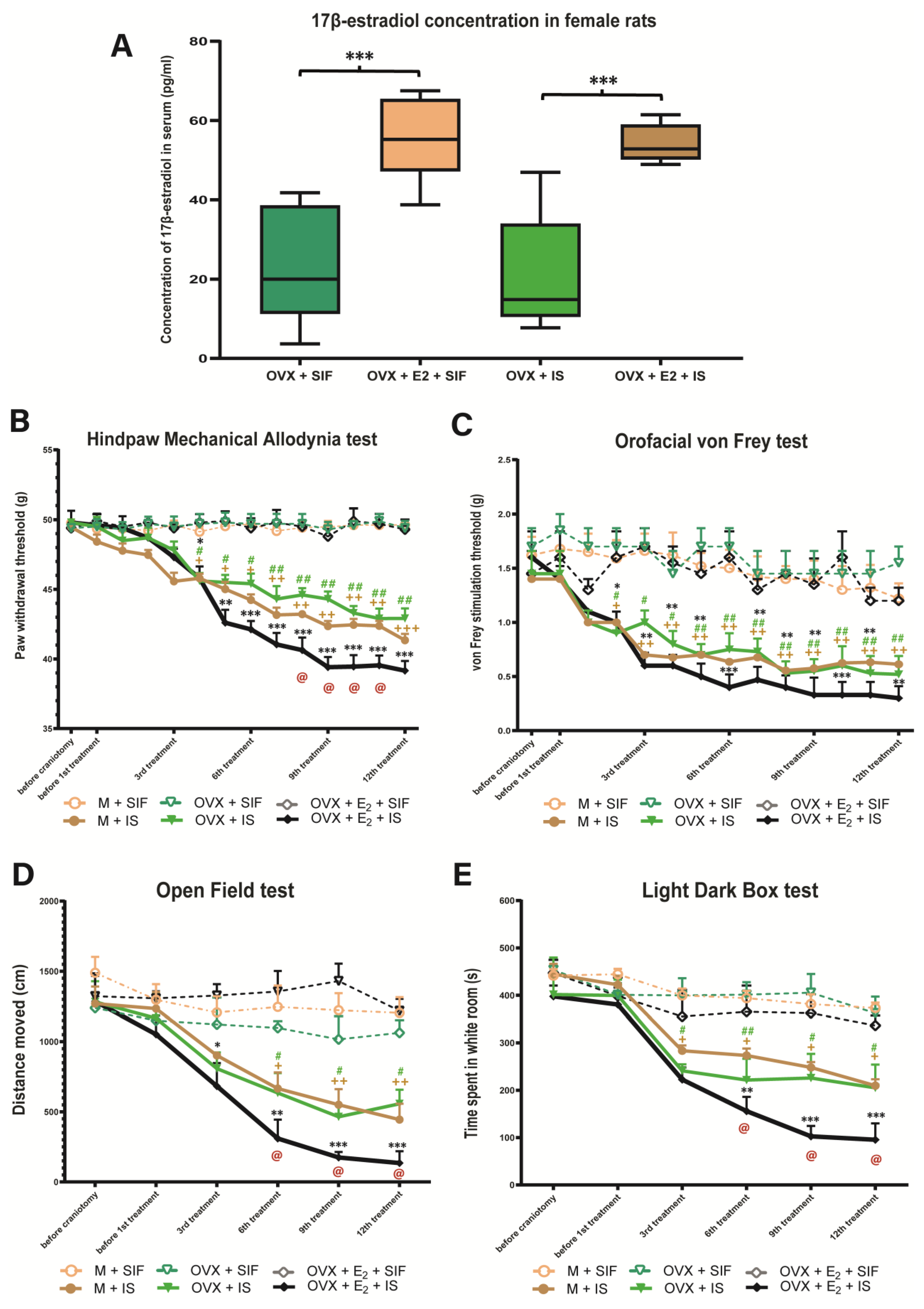 Biomedicines 10 03175 g002 Biomedicines 10 03175 g002