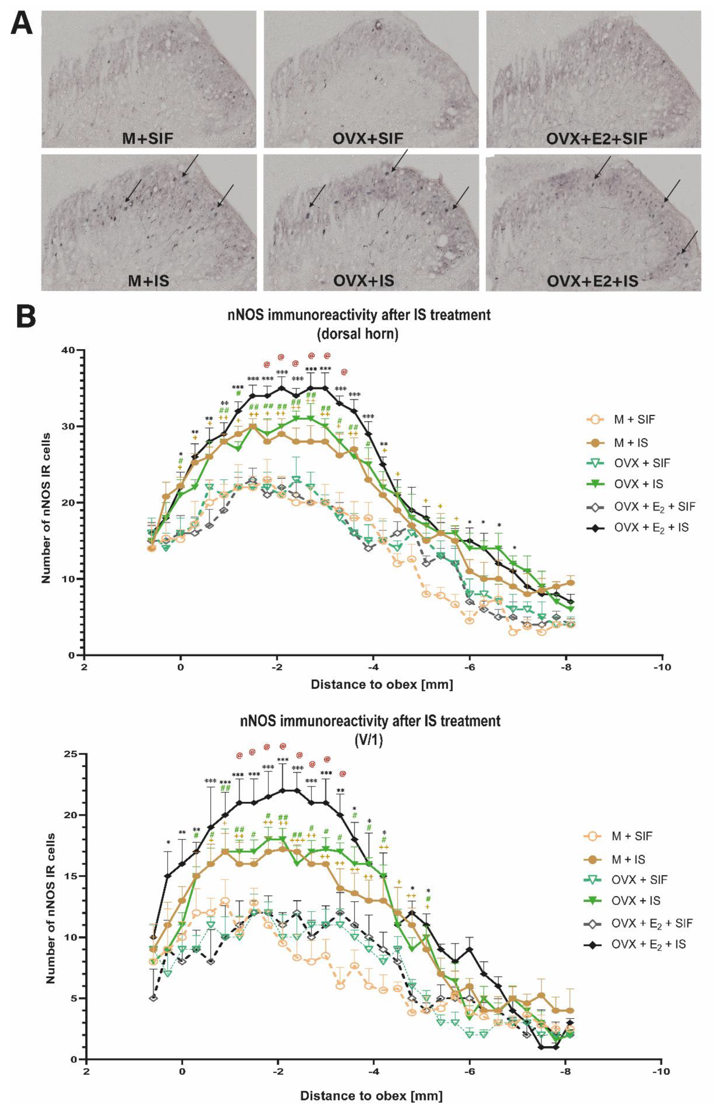 Biomedicines 10 03175 g004 Biomedicines 10 03175 g004