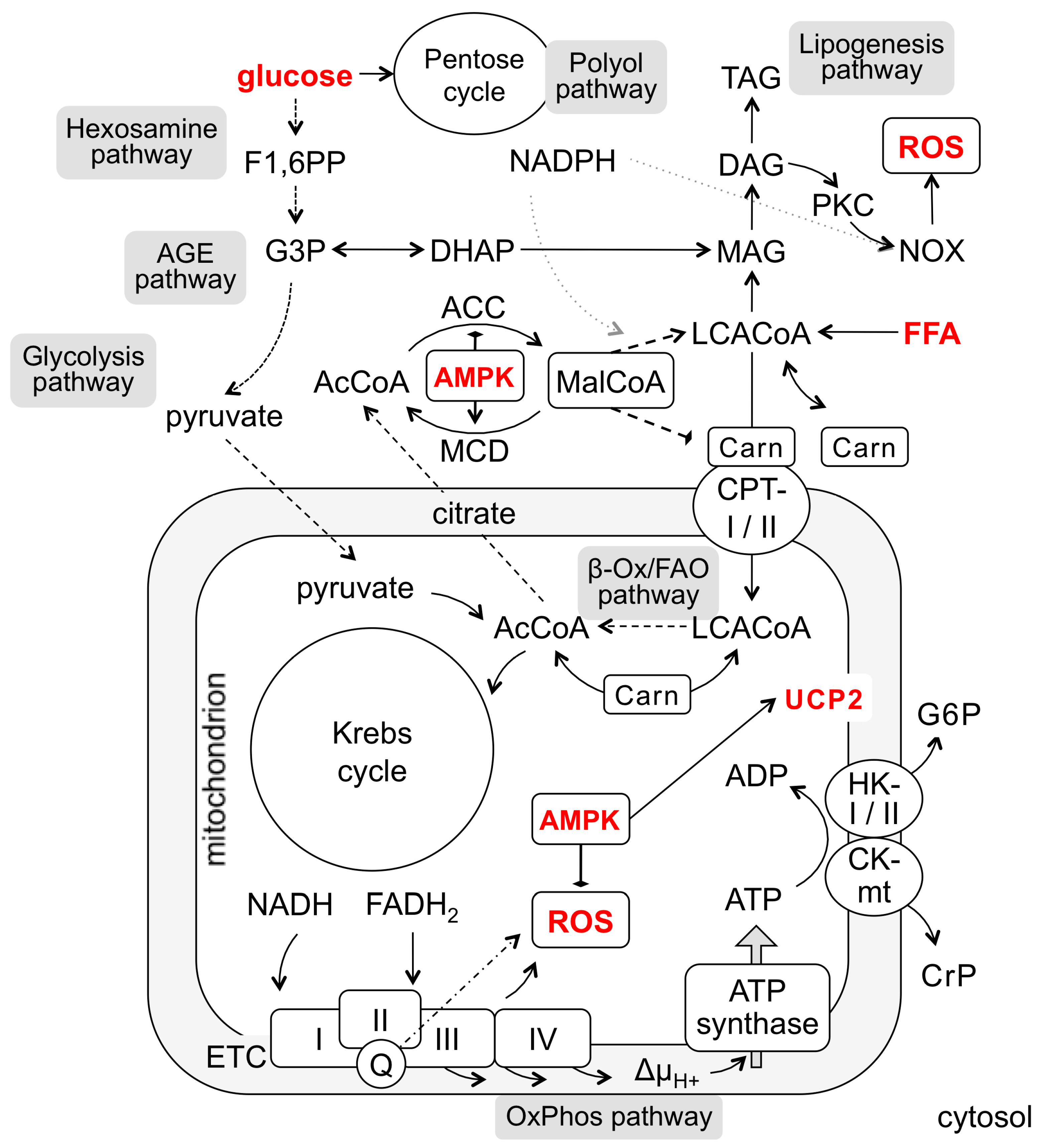 Biomedicines 10 03181 g002