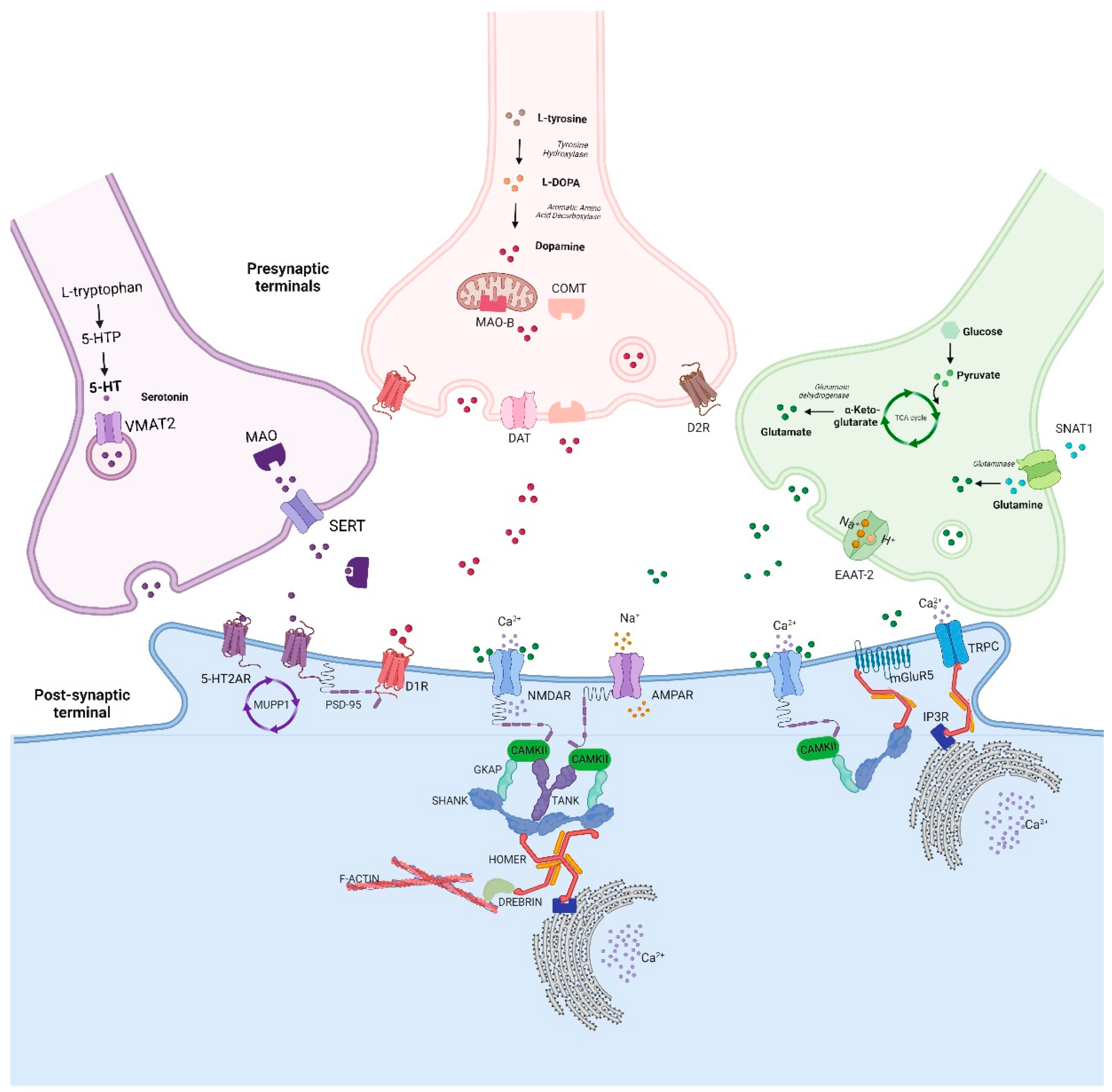 Biomedicines 10 03183 g003 Biomedicines 10 03183 g003