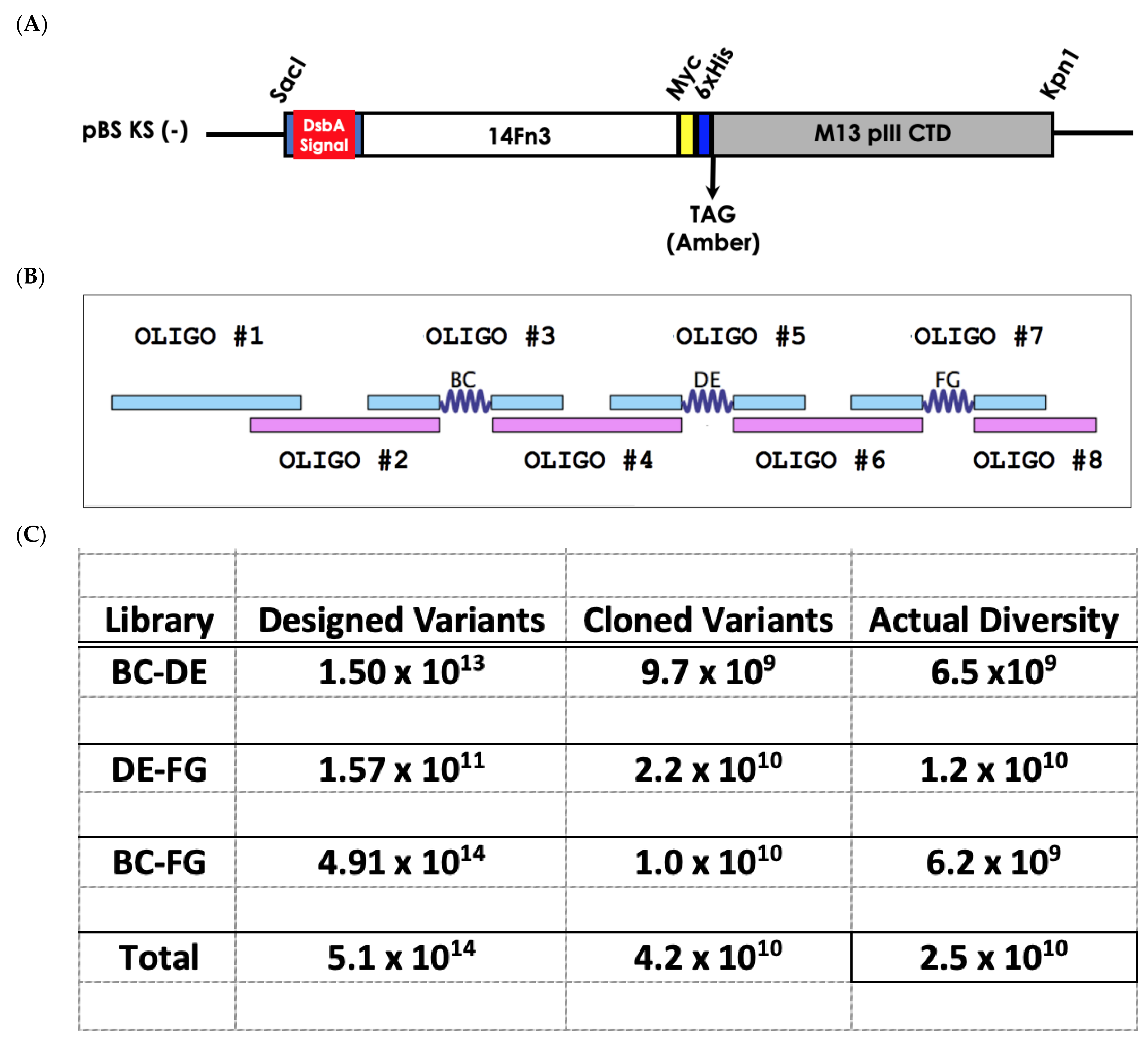 Biomedicines 10 03184 g002a
