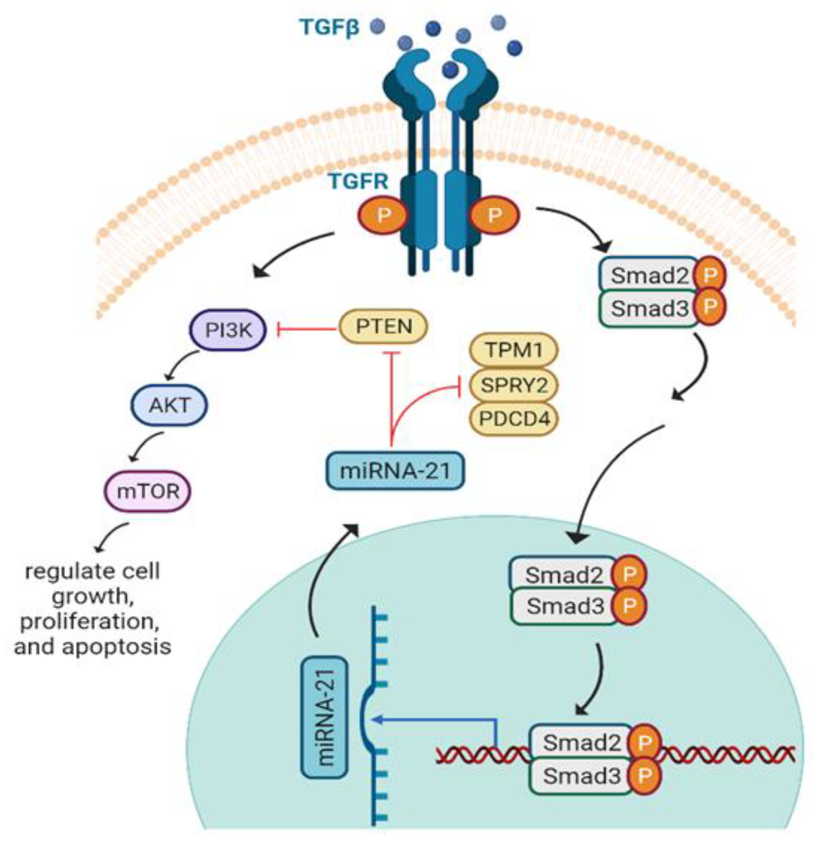 Biomedicines 10 03186 g010