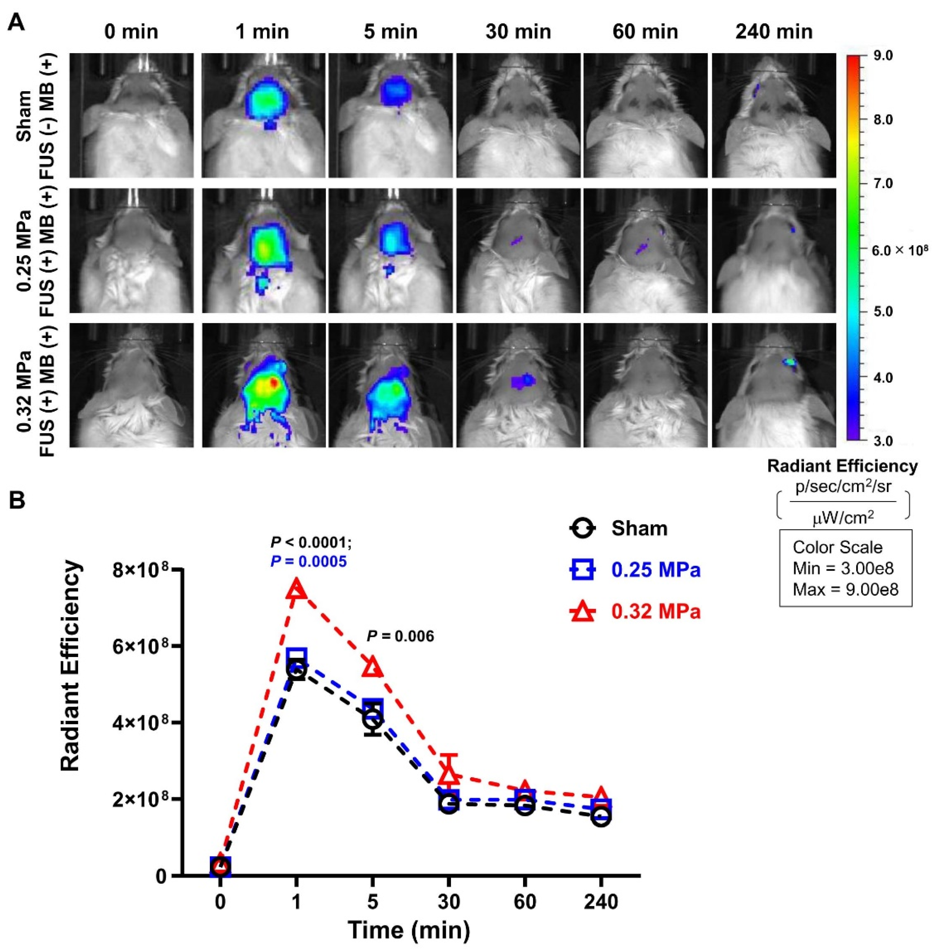 Biomedicines 10 03191 g003 Biomedicines 10 03191 g003