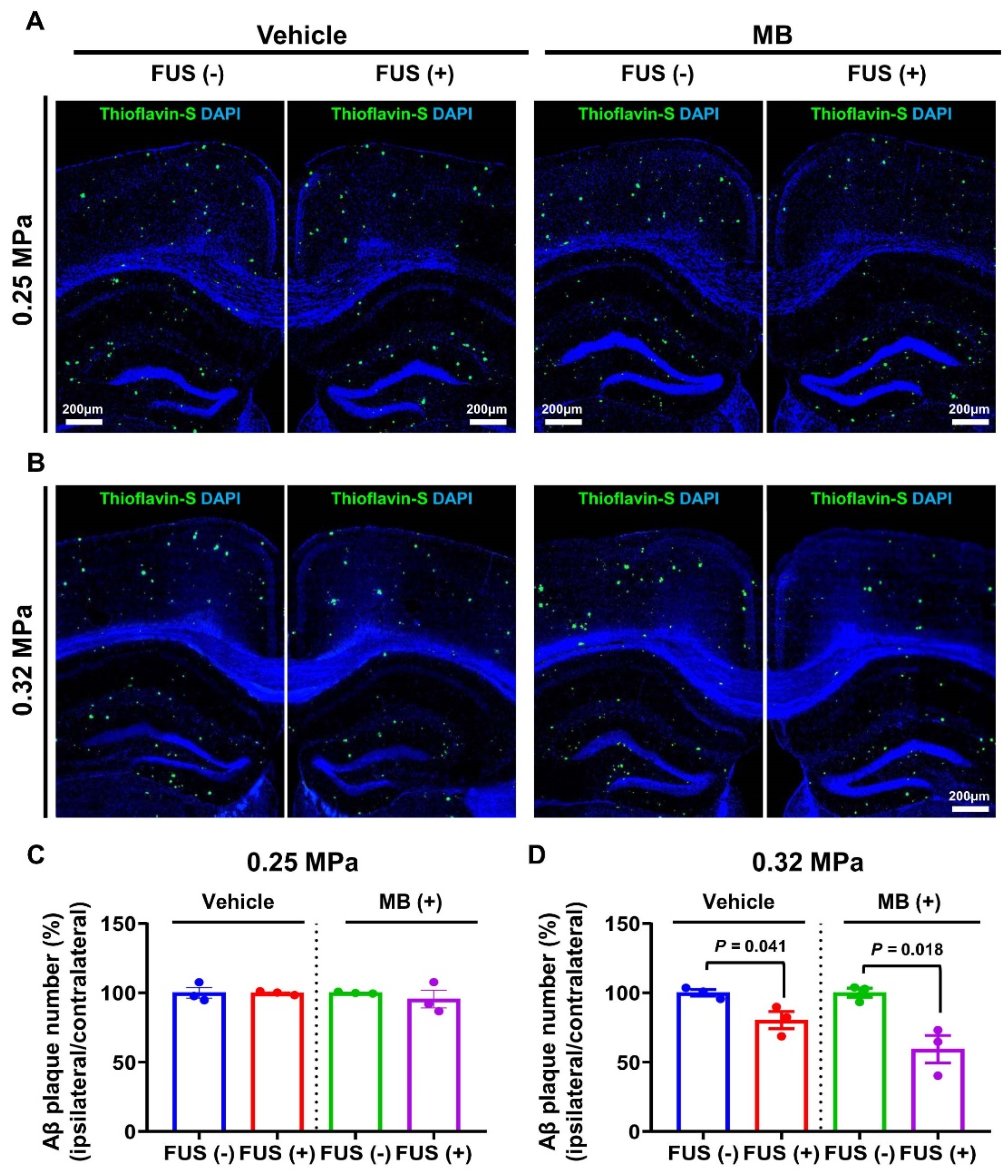 Biomedicines 10 03191 g004 Biomedicines 10 03191 g004