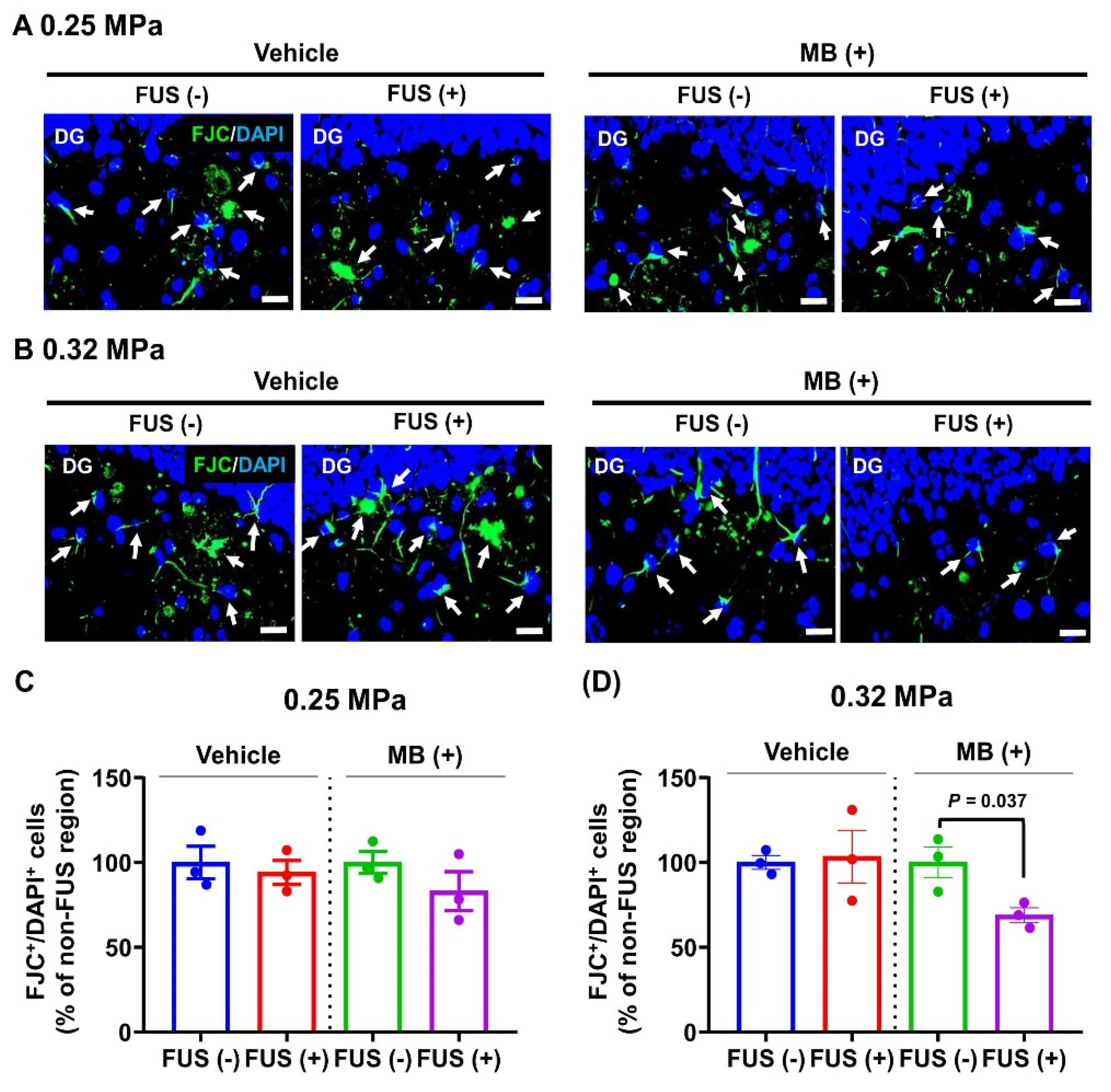 Biomedicines 10 03191 g006 Biomedicines 10 03191 g006