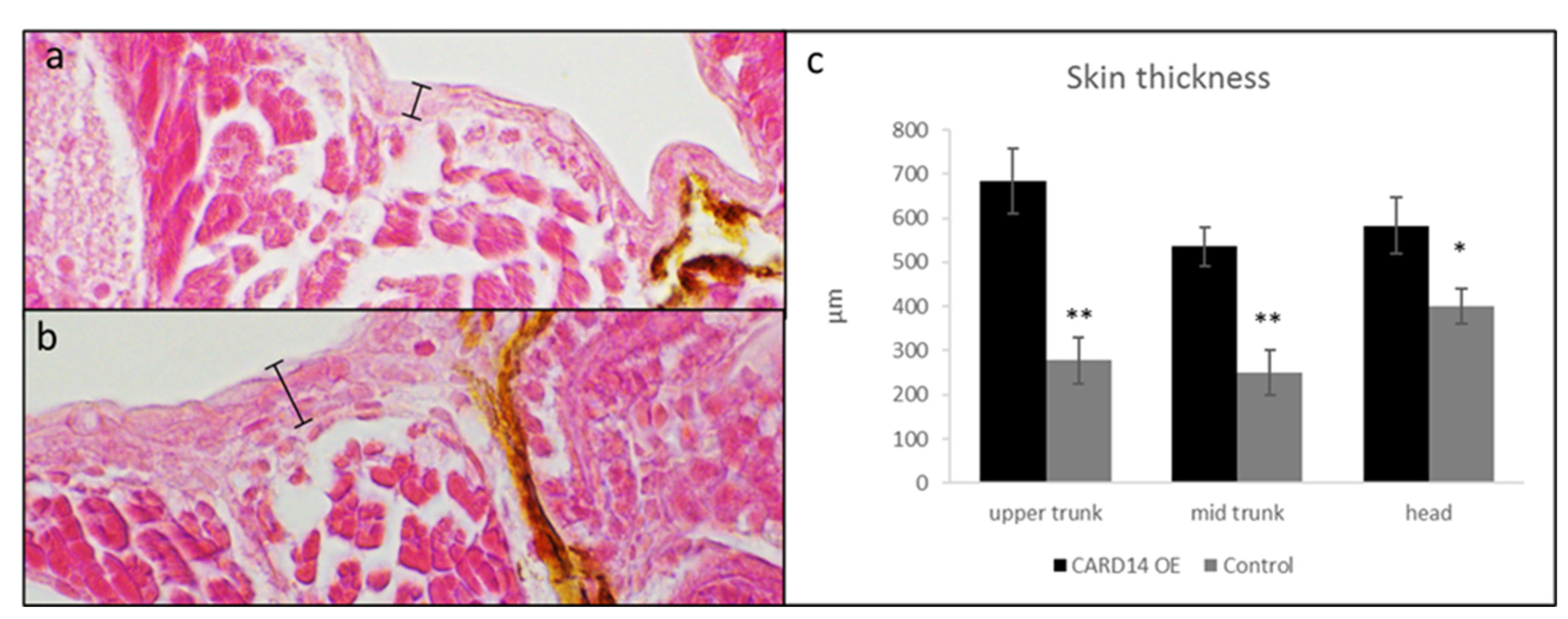 Biomedicines 10 03192 g003