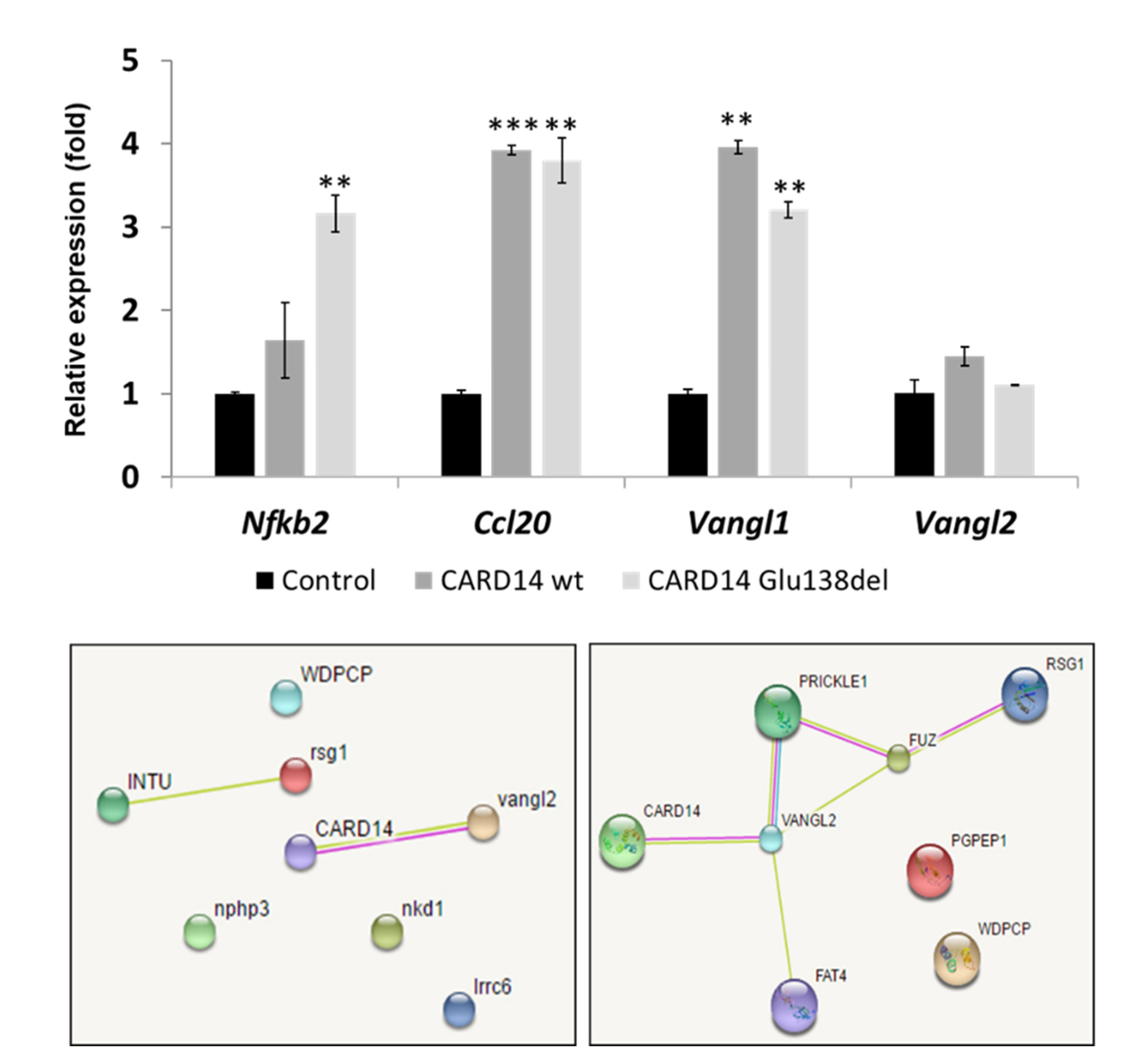 Biomedicines 10 03192 g004