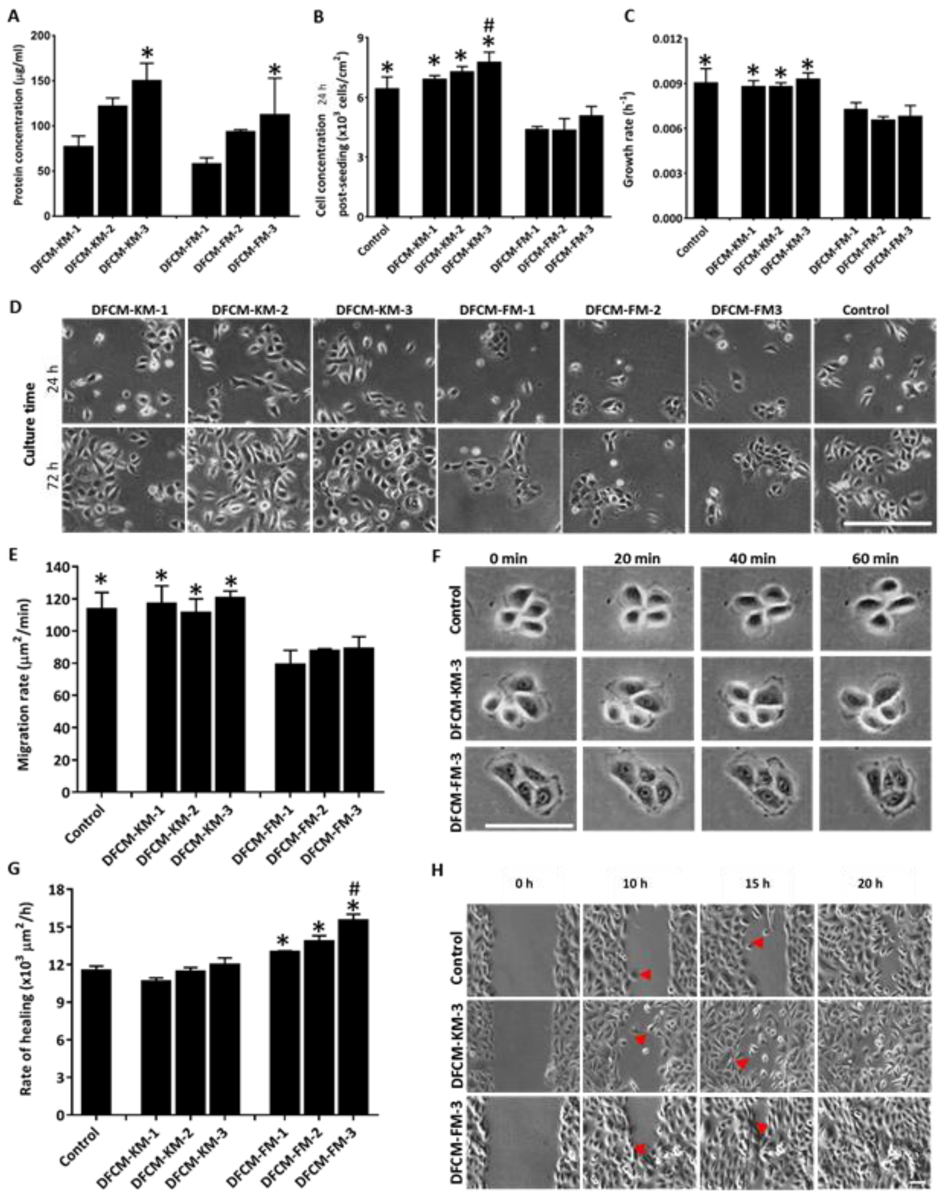 Biomedicines 10 03203 g001