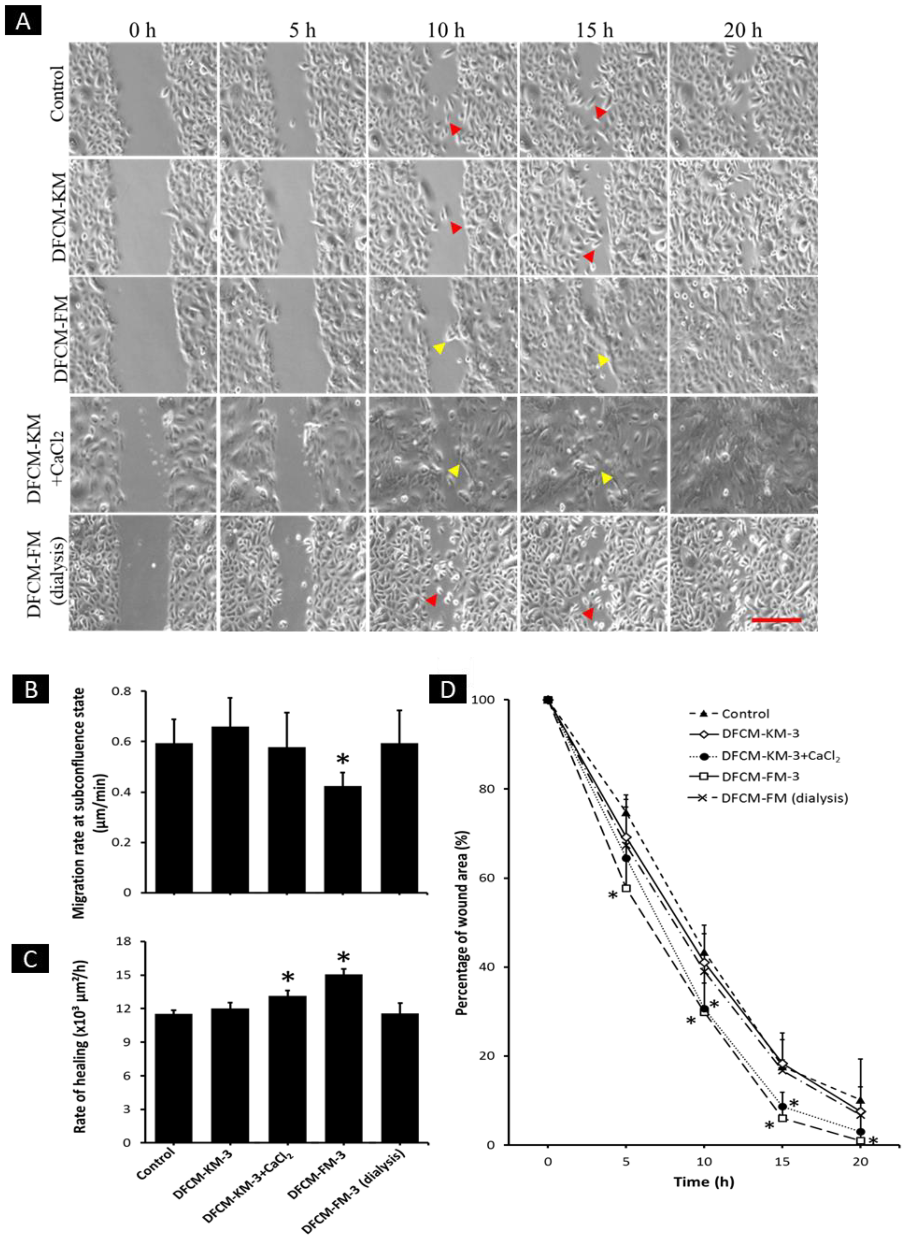 Biomedicines 10 03203 g006