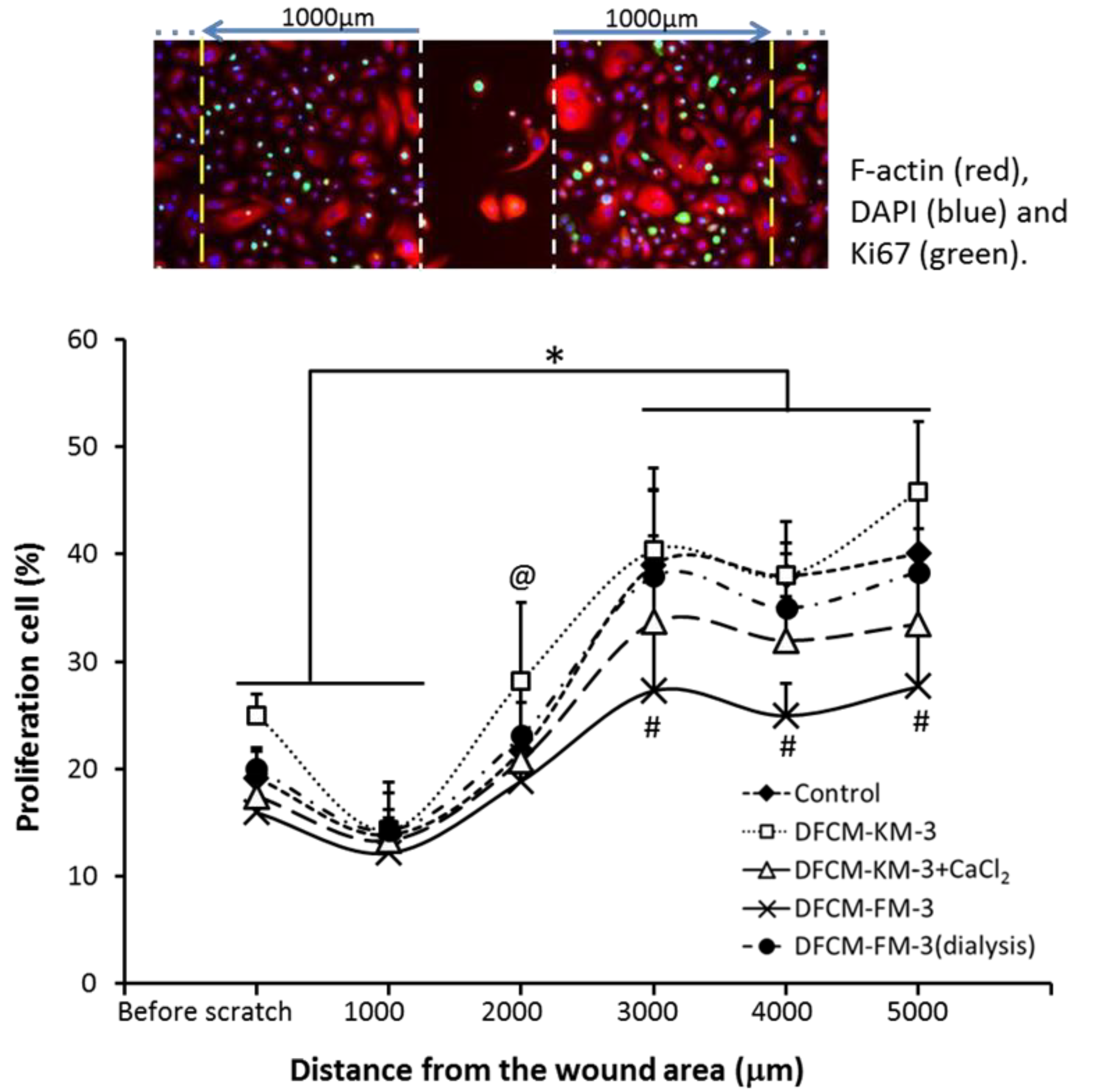 Biomedicines 10 03203 g007