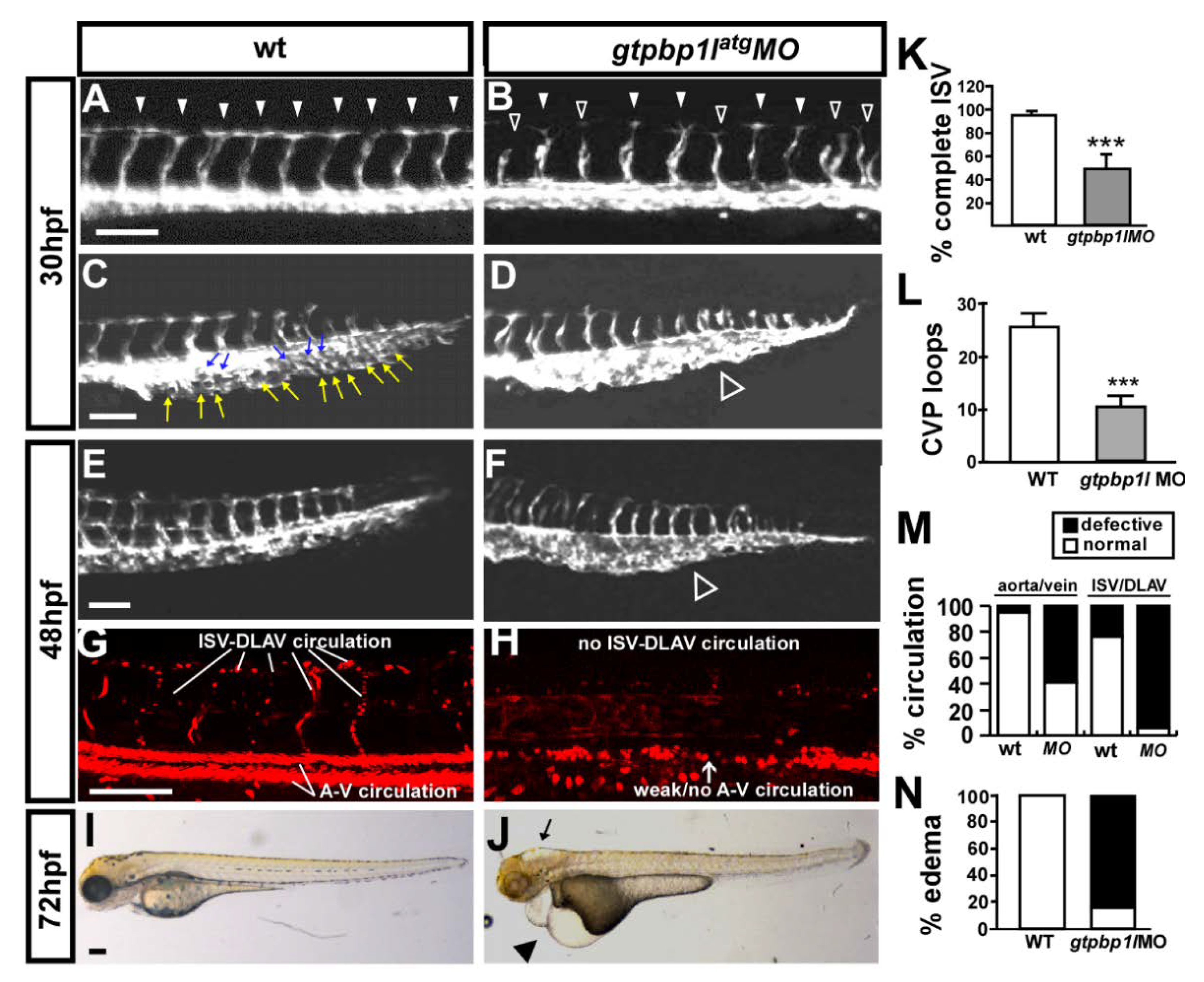 Biomedicines 10 03208 g002 Biomedicines 10 03208 g002