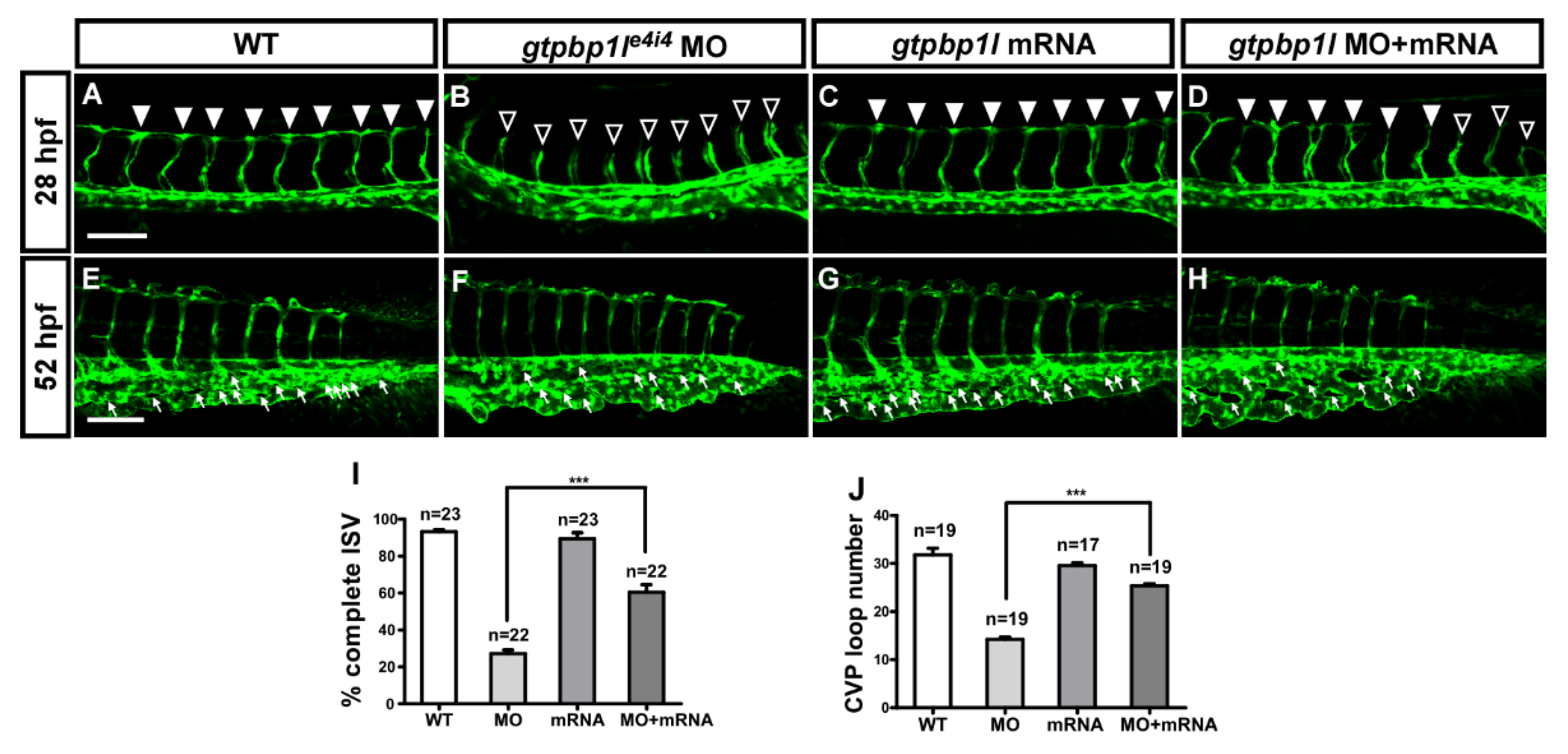 Biomedicines 10 03208 g003 Biomedicines 10 03208 g003