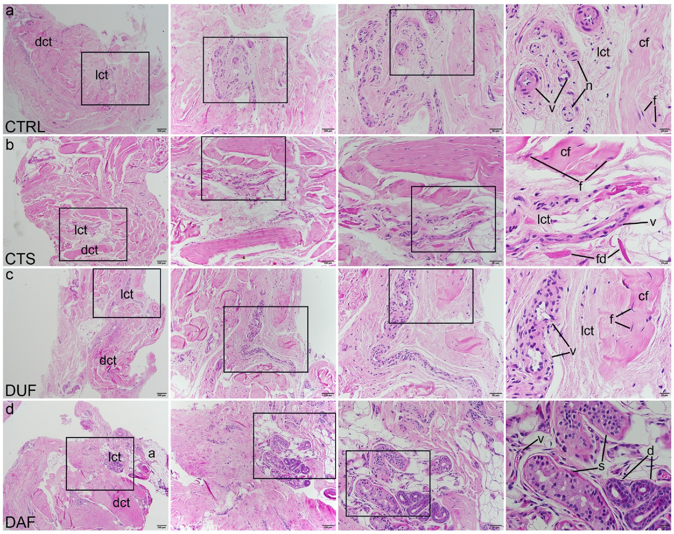 Biomedicines 10 03214 g001