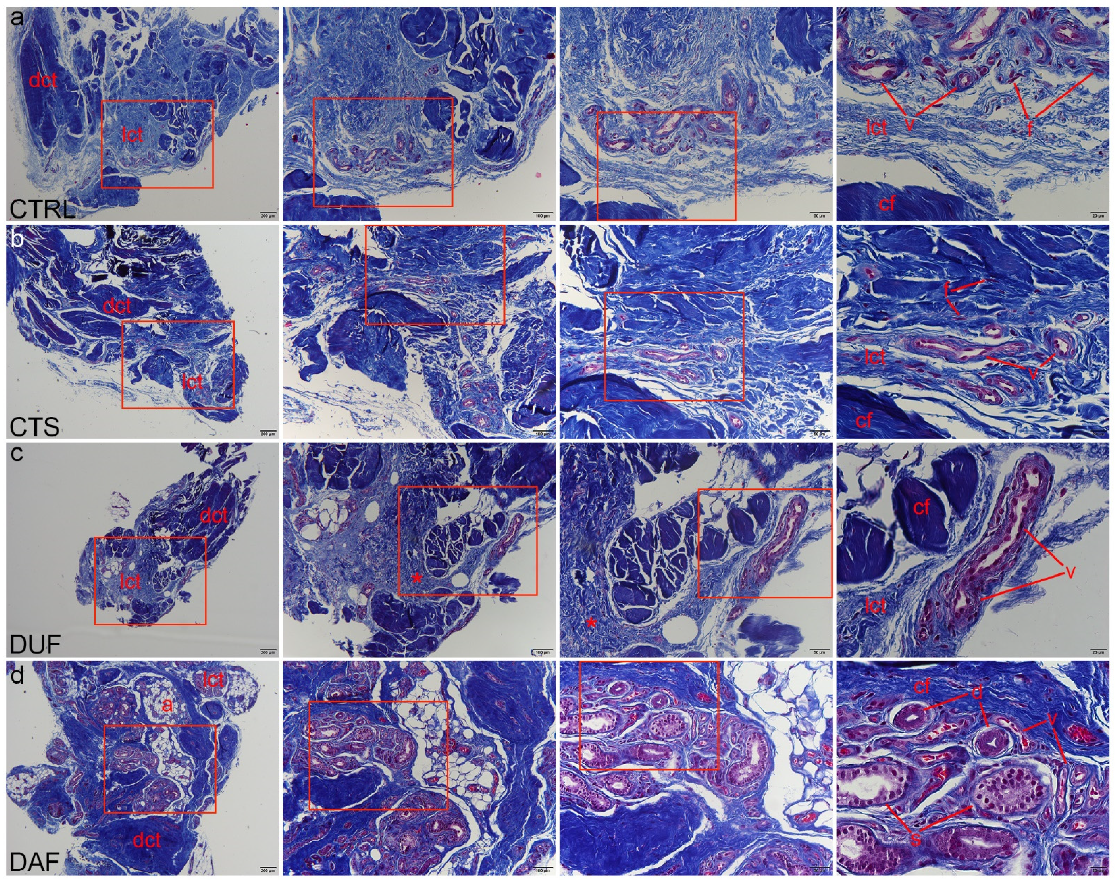 Biomedicines 10 03214 g002