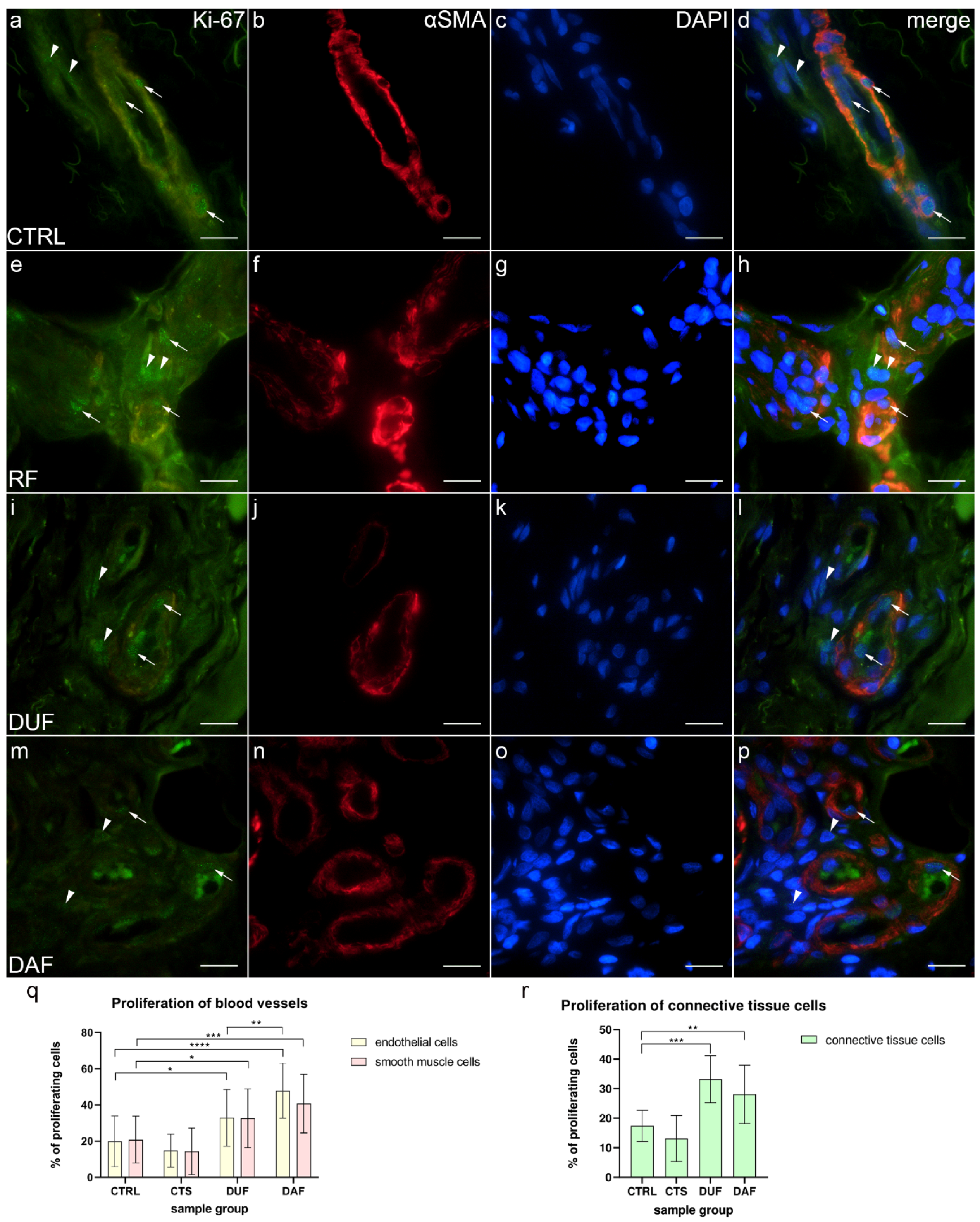 Biomedicines 10 03214 g003