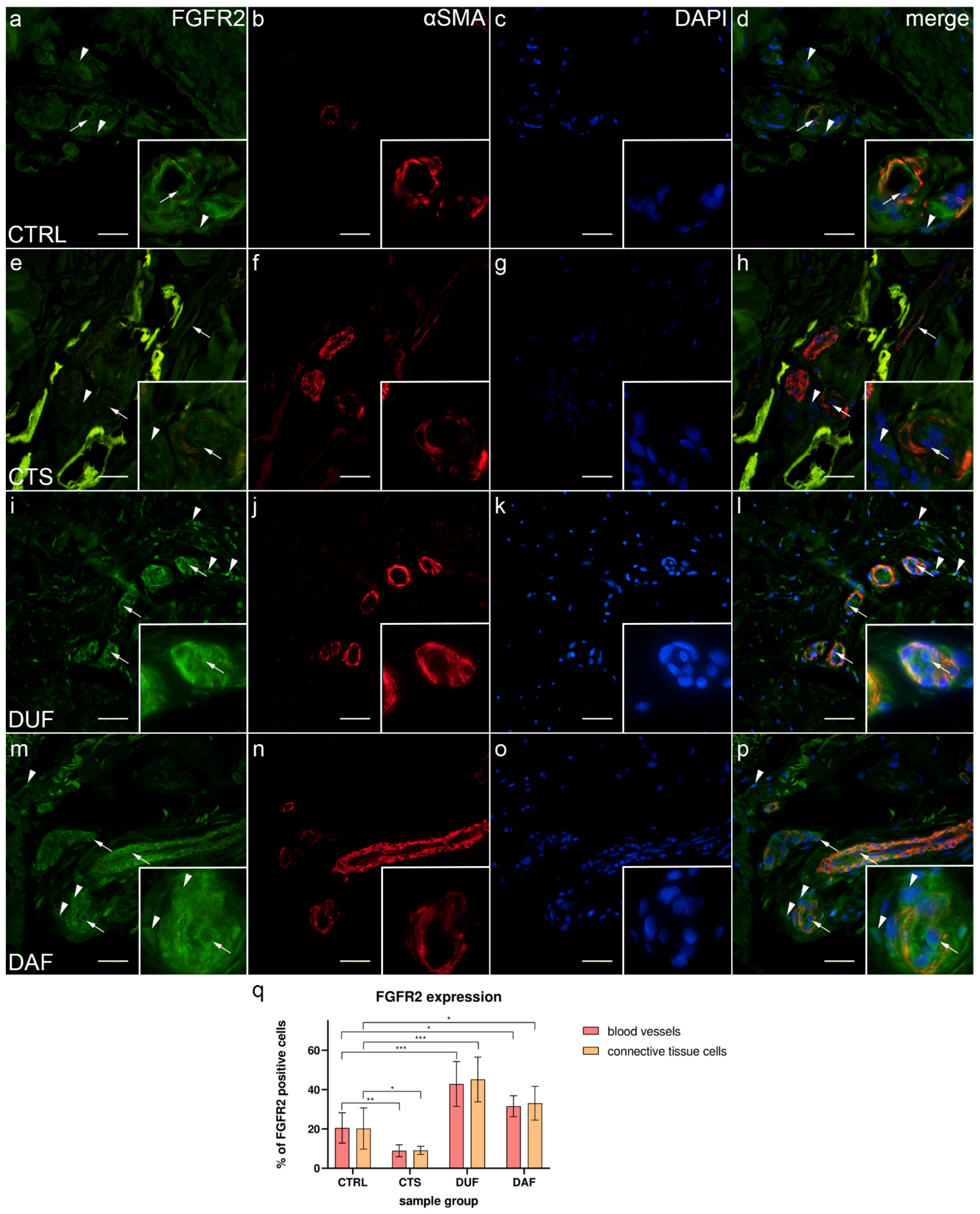 Biomedicines 10 03214 g005