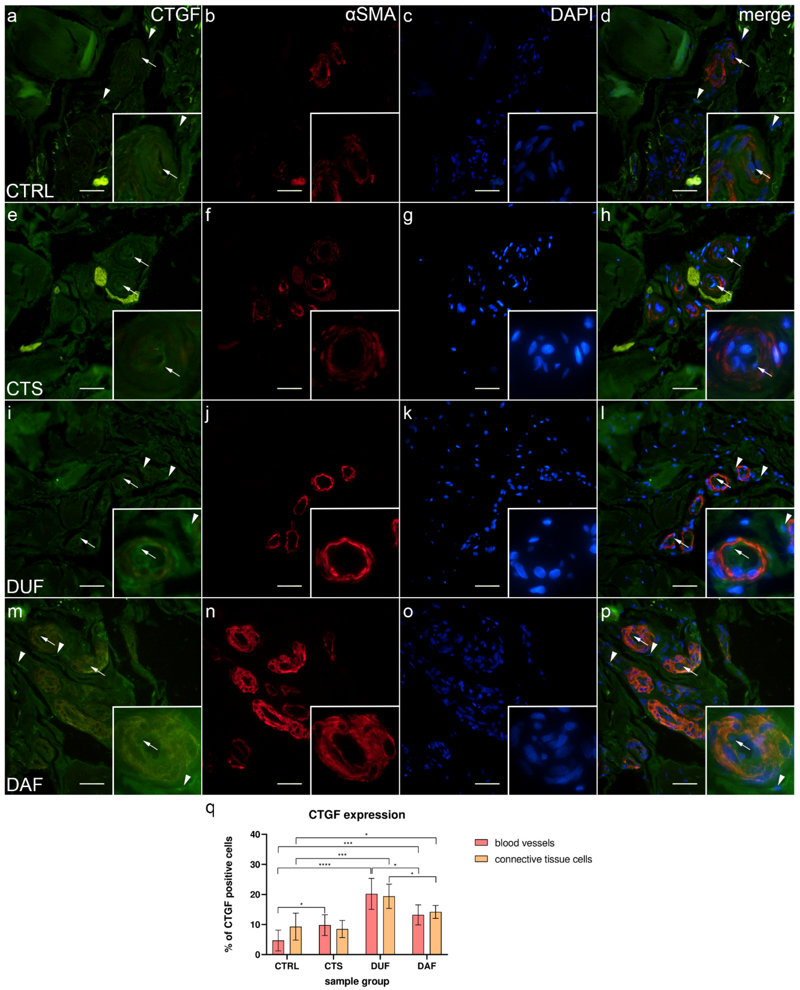 Biomedicines 10 03214 g006