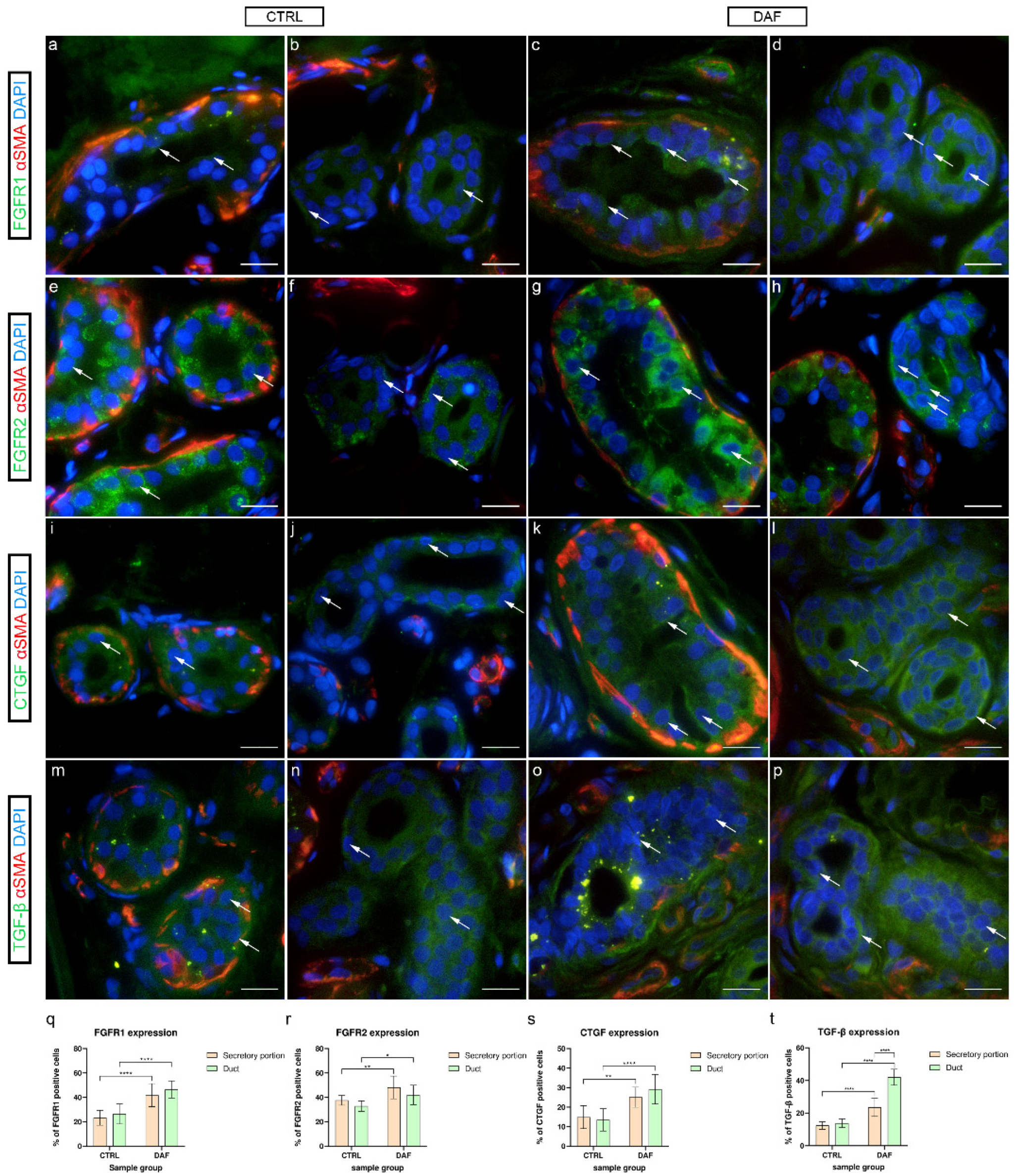 Biomedicines 10 03214 g008