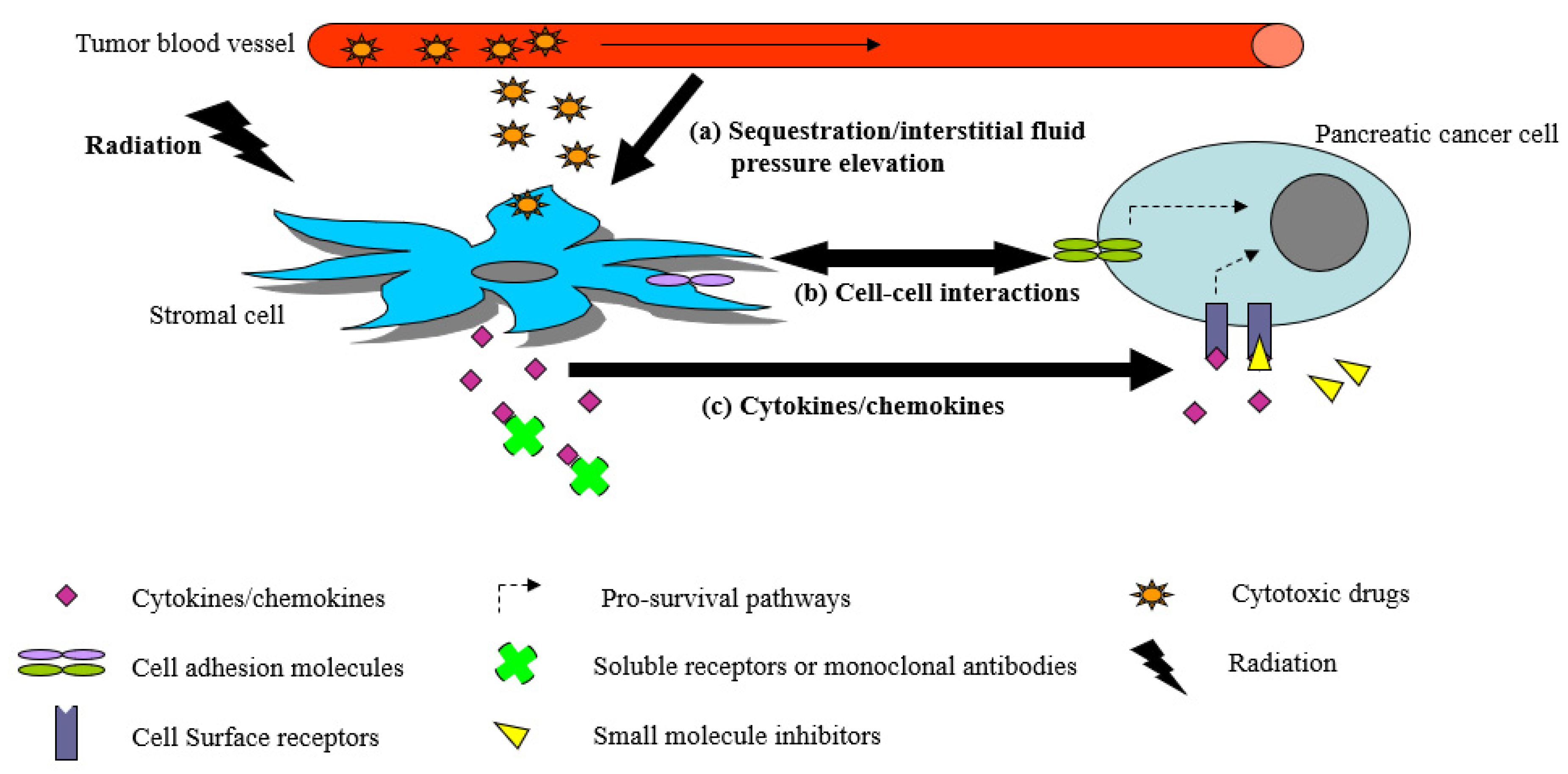 Biomedicines 10 03215 g001