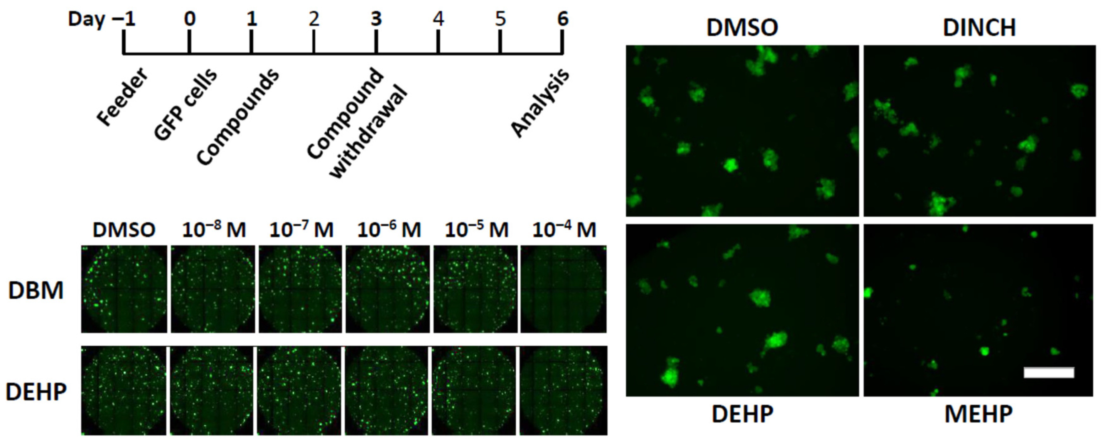 Biomedicines 10 03217 g001