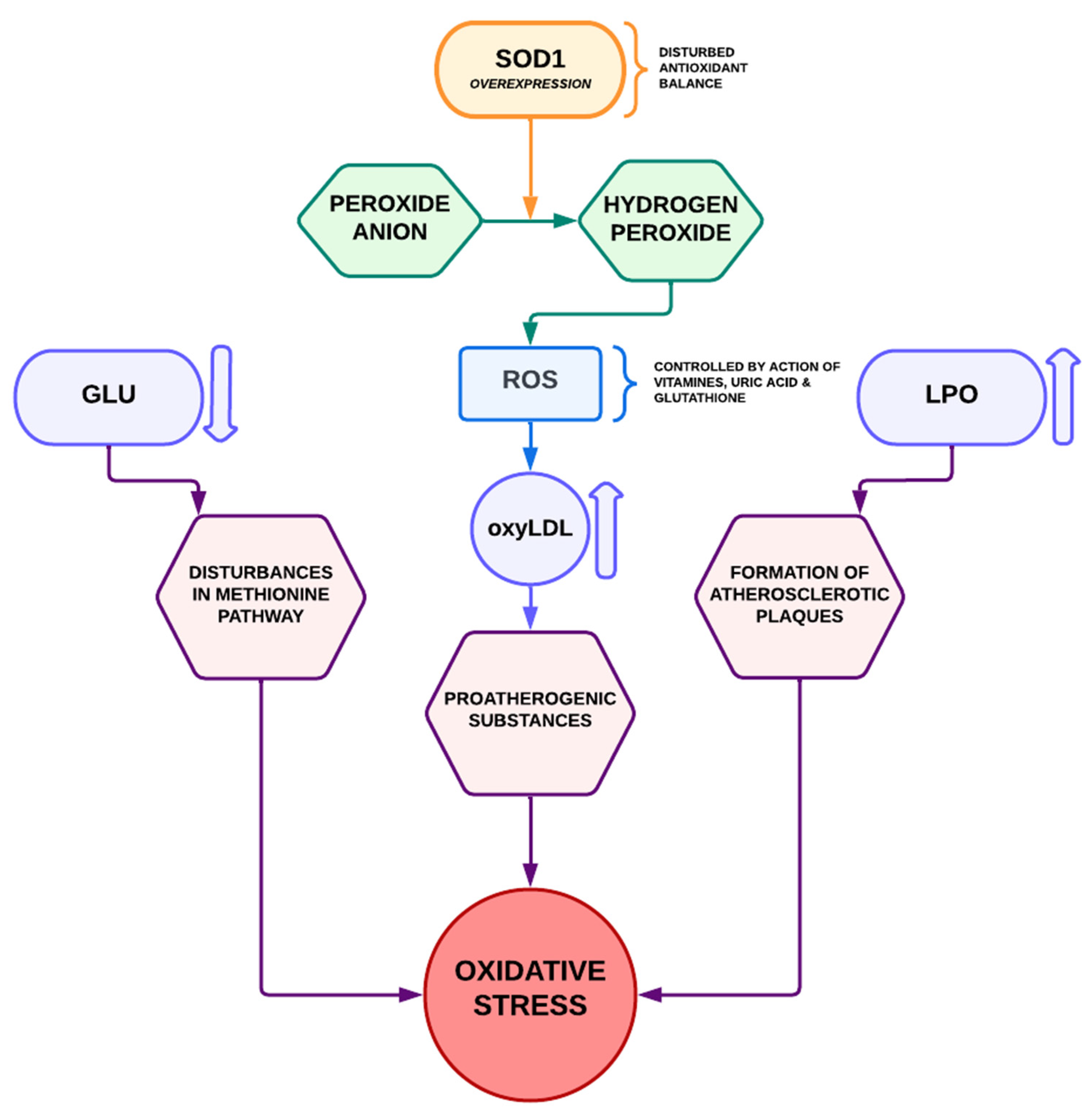 Biomedicines 10 03219 g001 Biomedicines 10 03219 g001