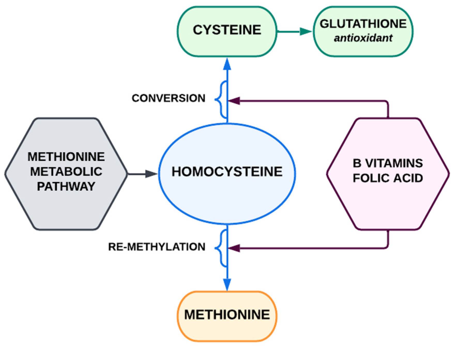 Biomedicines 10 03219 g002 Biomedicines 10 03219 g002