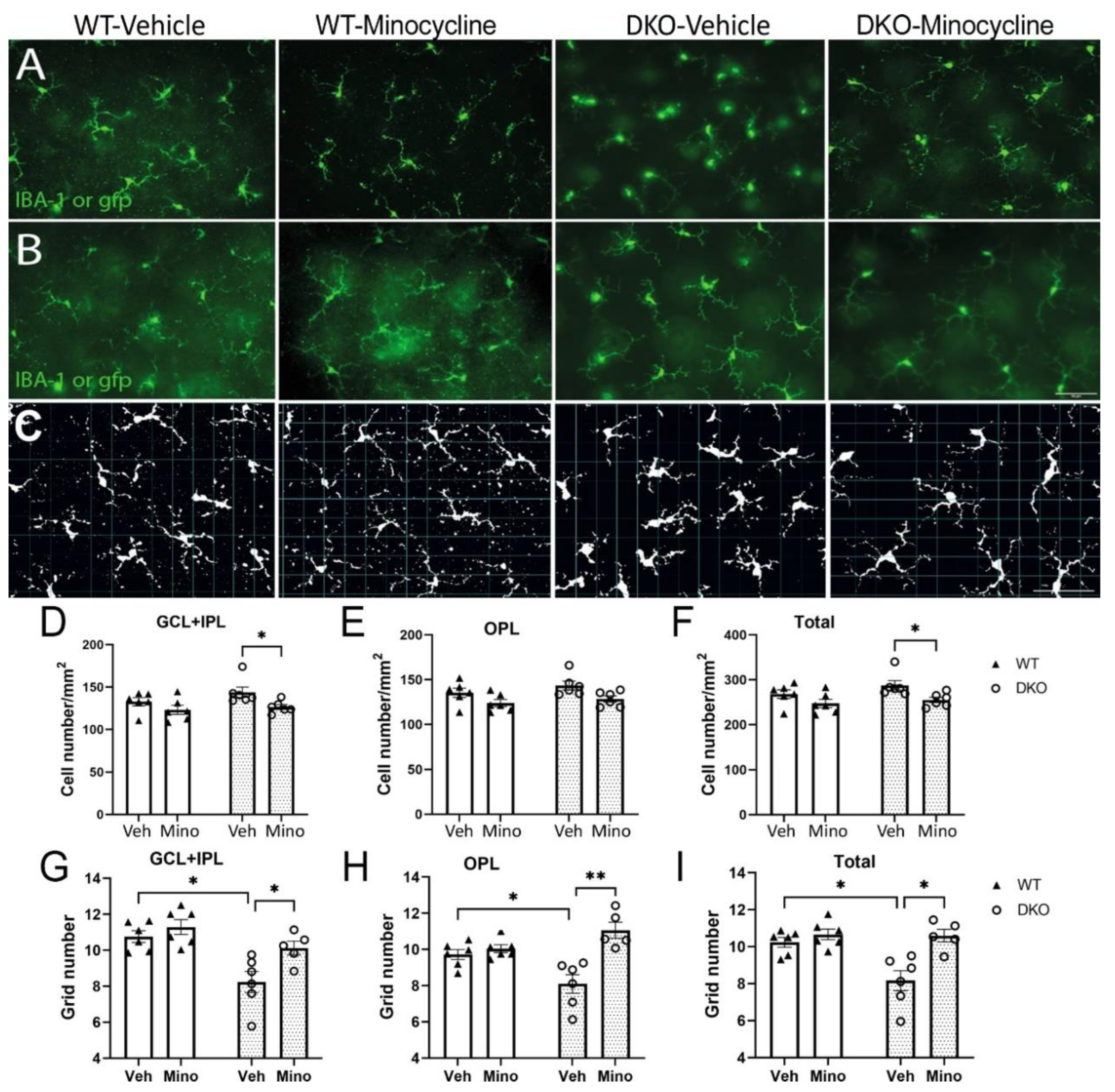 Biomedicines 10 03222 g005 Biomedicines 10 03222 g005