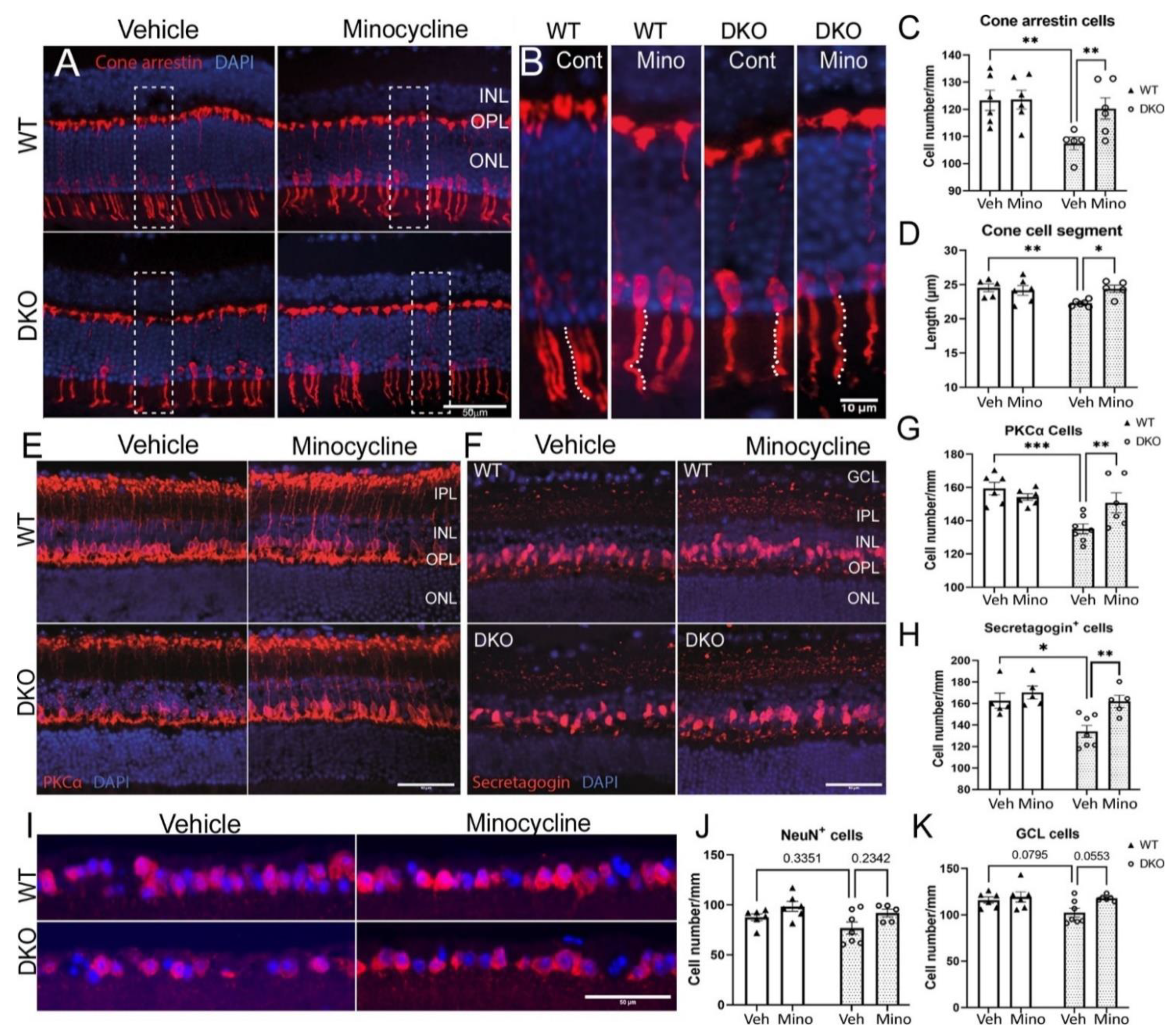 Biomedicines 10 03222 g007 Biomedicines 10 03222 g007