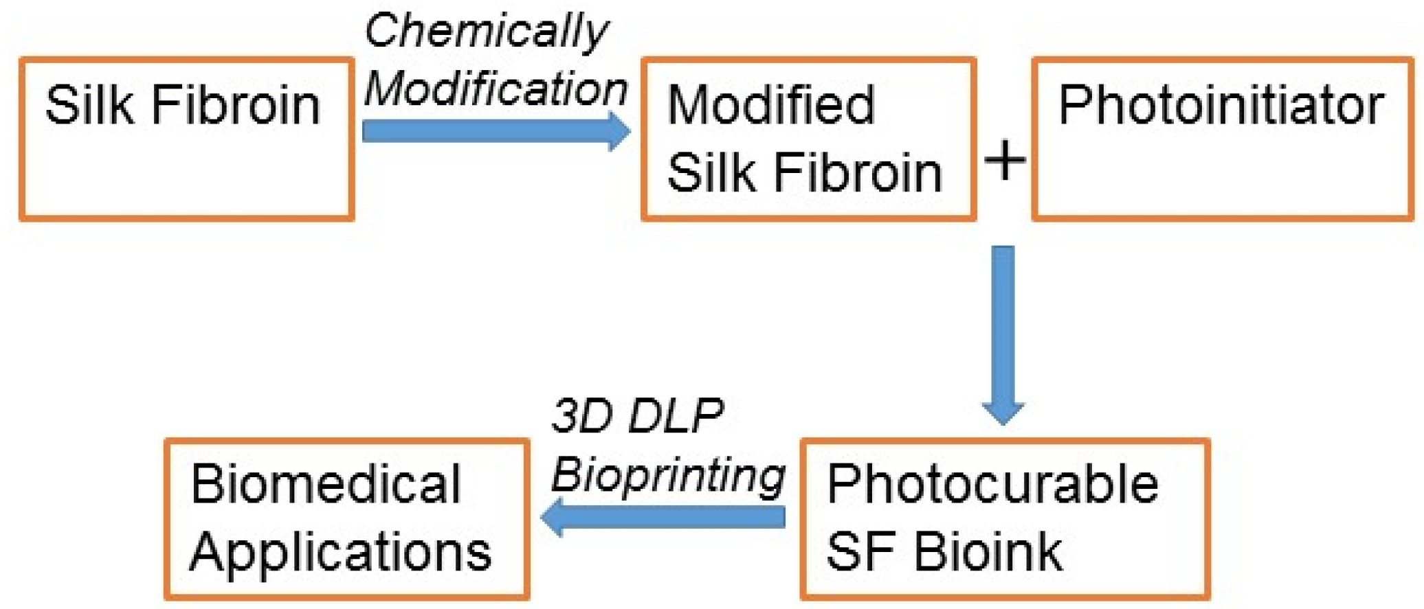 Biomedicines 10 03224 g001 Biomedicines 10 03224 g001