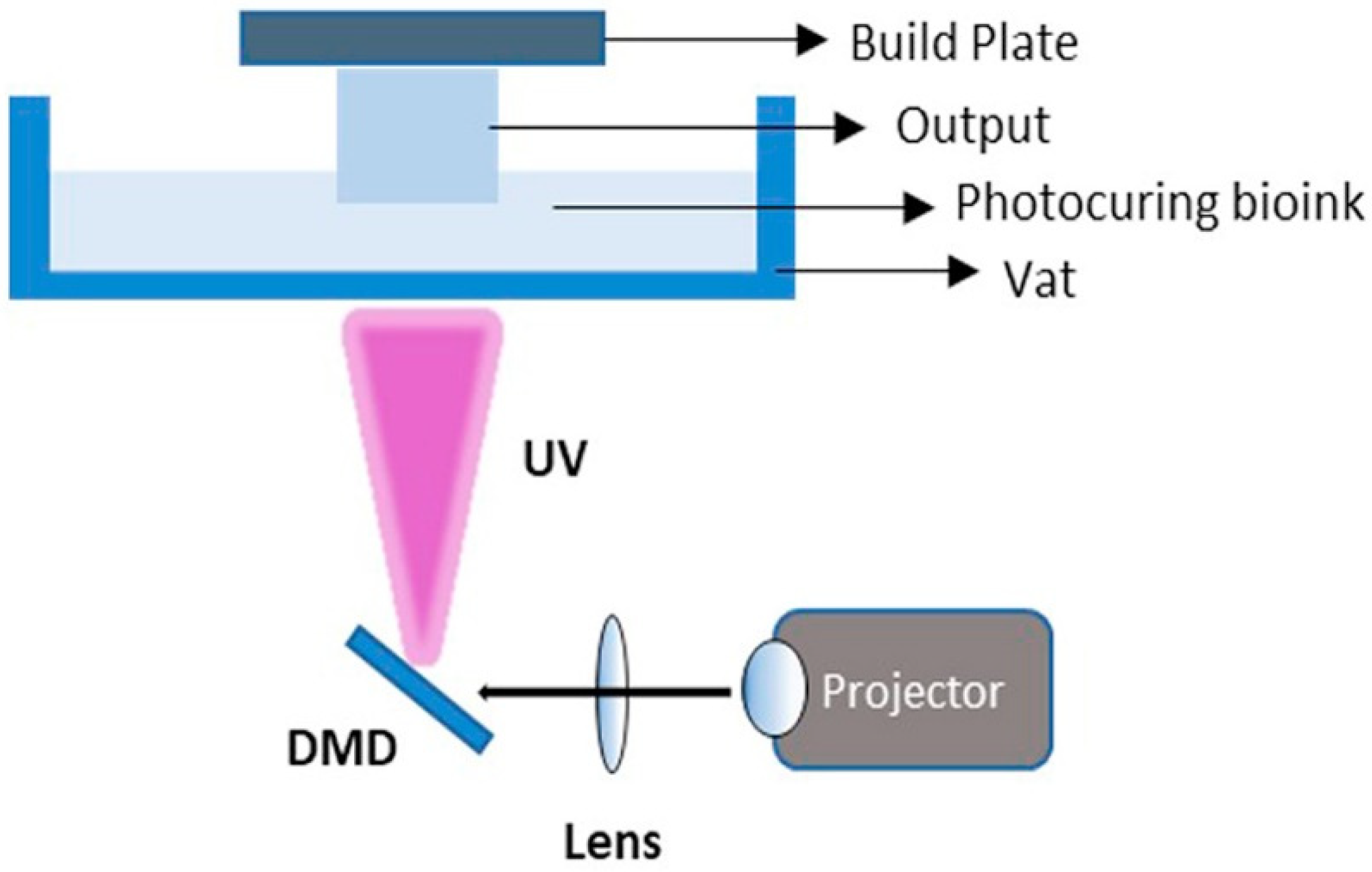 Biomedicines 10 03224 g002 Biomedicines 10 03224 g002