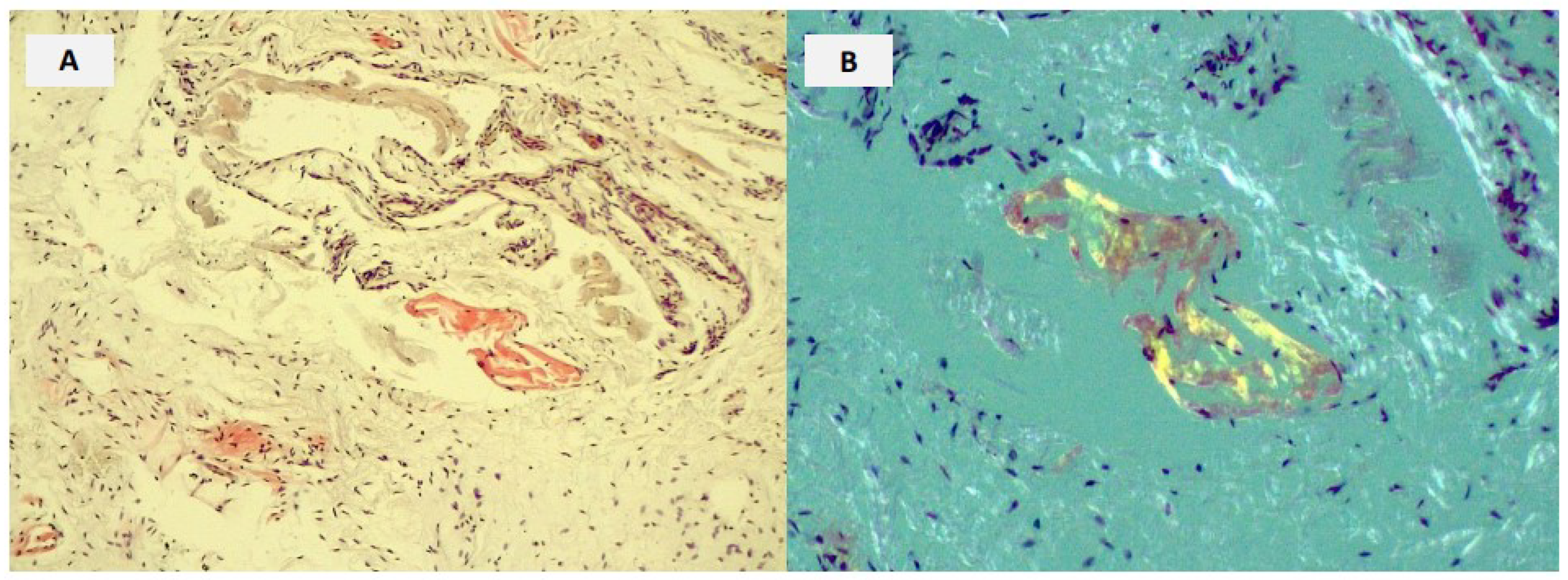 Biomedicines 10 03226 g002