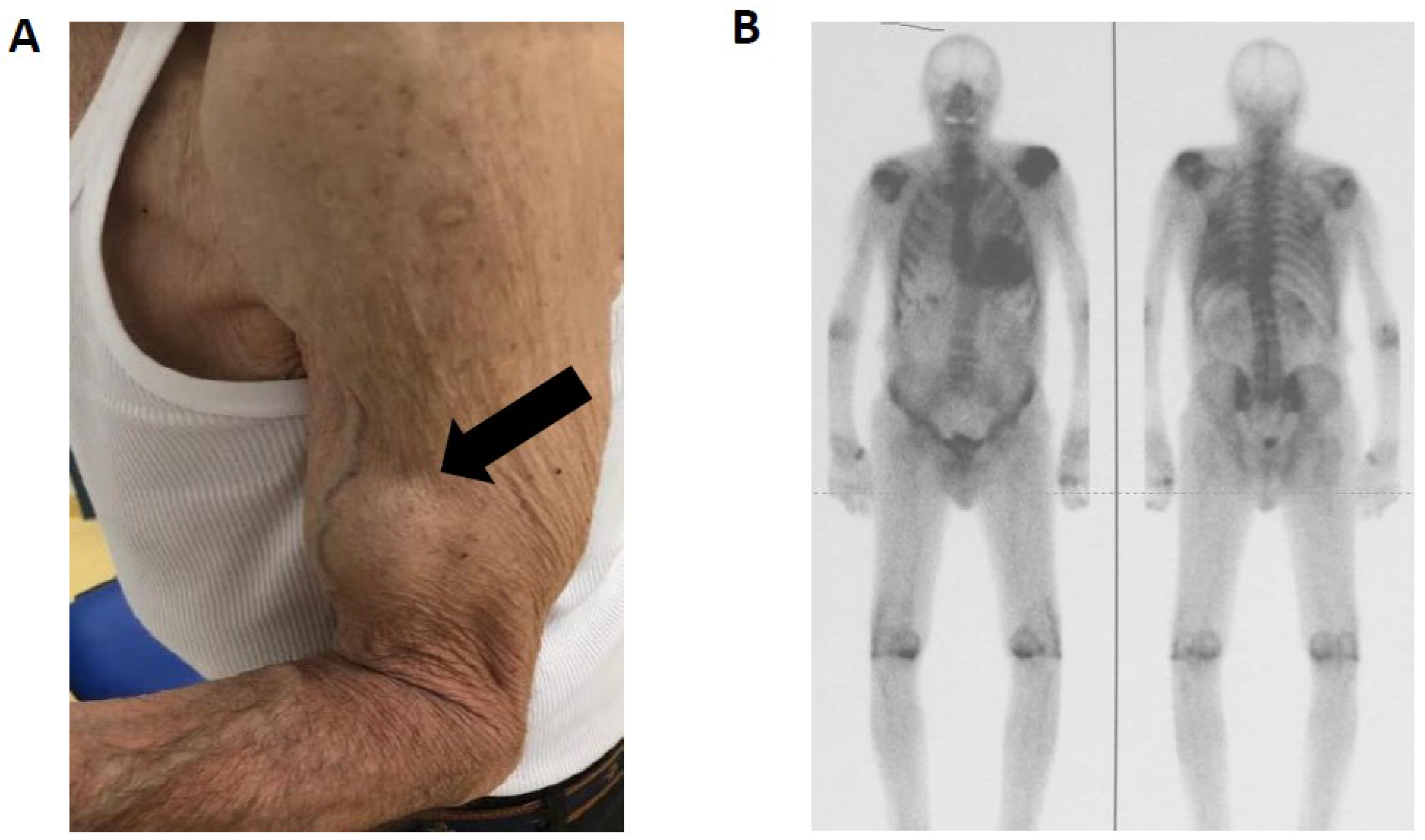 Biomedicines 10 03226 g003