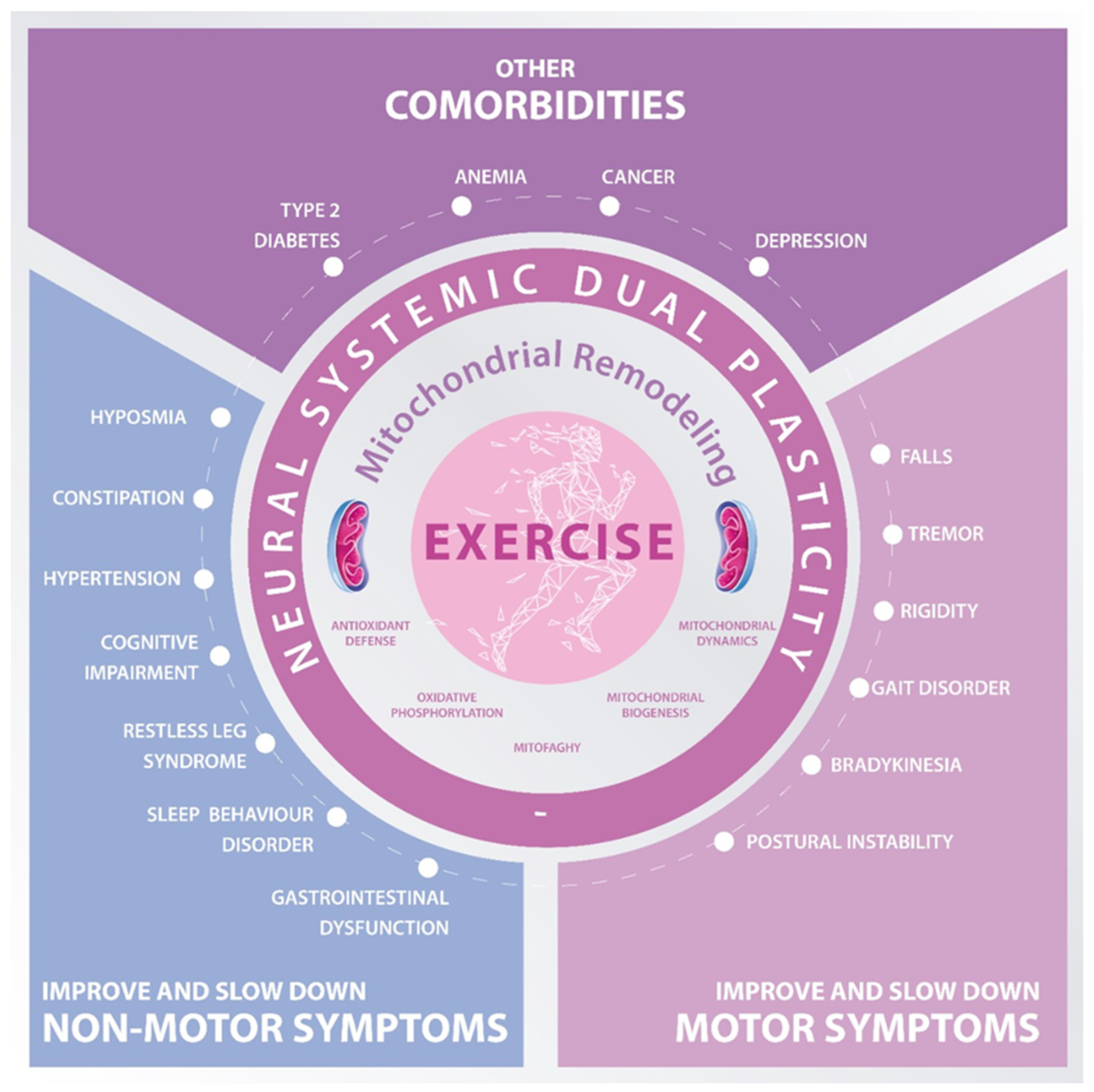 Biomedicines | Free Full-Text | Exercise-Boosted Mitochondrial Remodeling  in Parkinson’s Disease