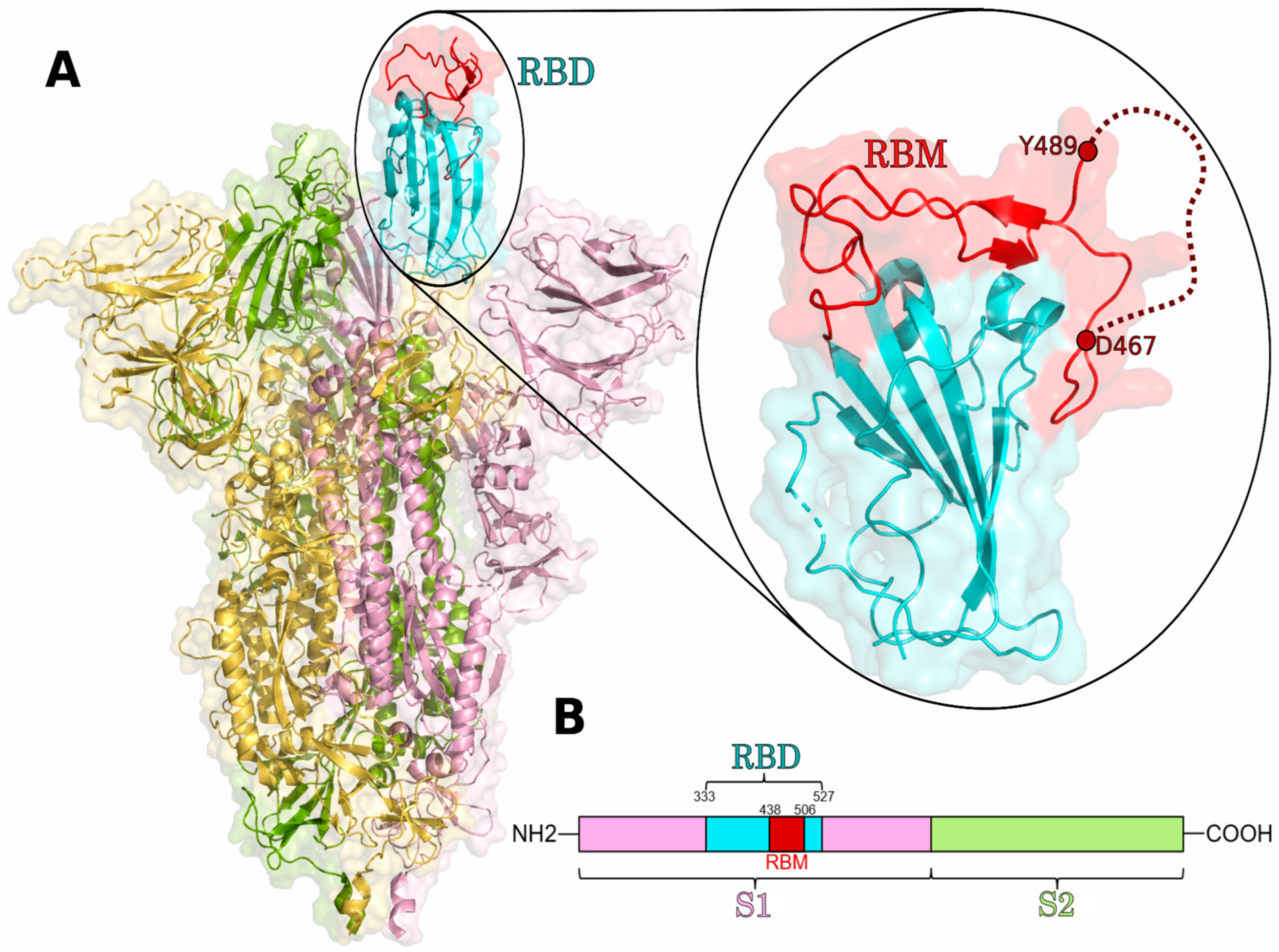 Biomedicines 10 03233 g001