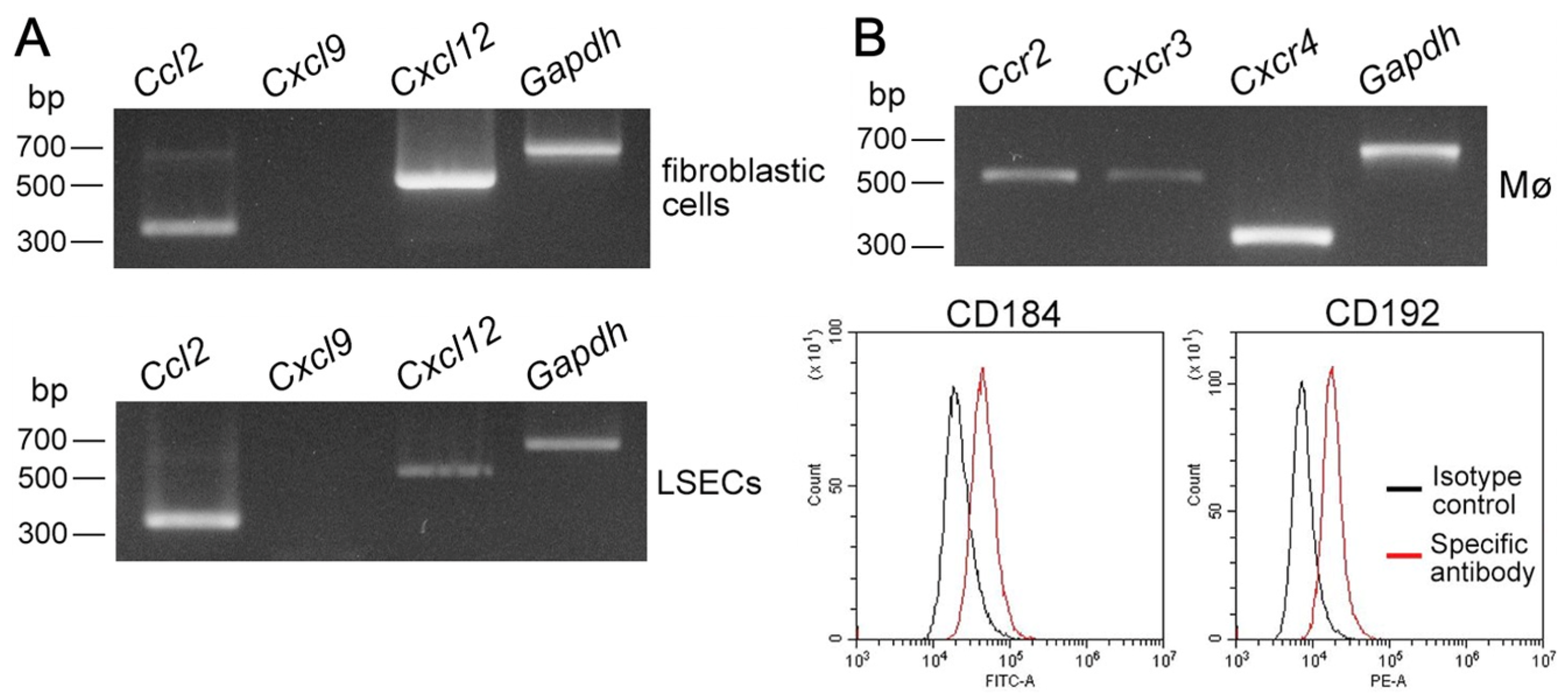 Biomedicines 10 03234 g007 Biomedicines 10 03234 g007