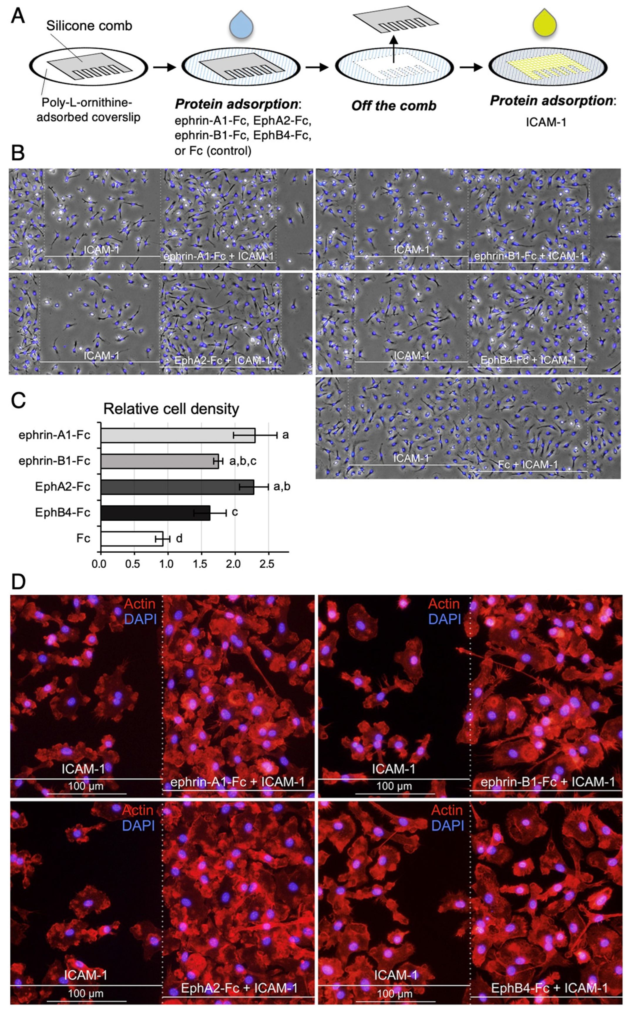 Biomedicines 10 03234 g010 Biomedicines 10 03234 g010