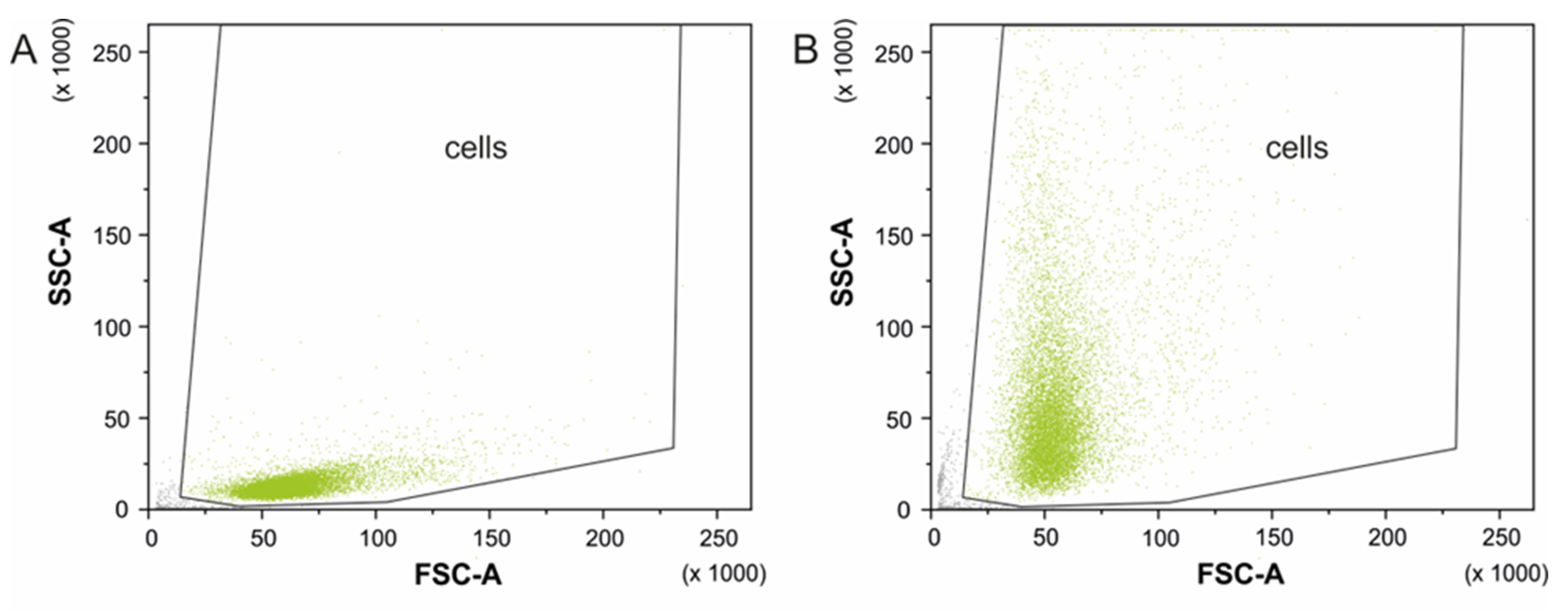 Biomedicines 10 03238 g008