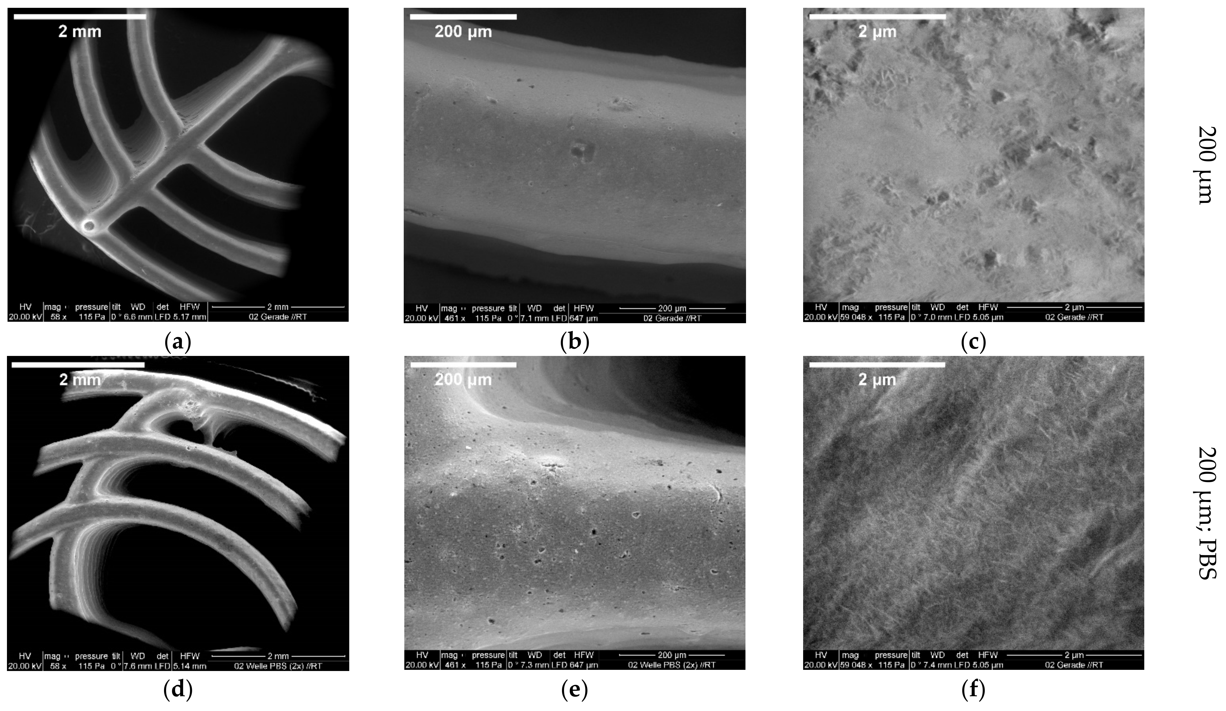 Biomedicines 10 03242 g003 Biomedicines 10 03242 g003