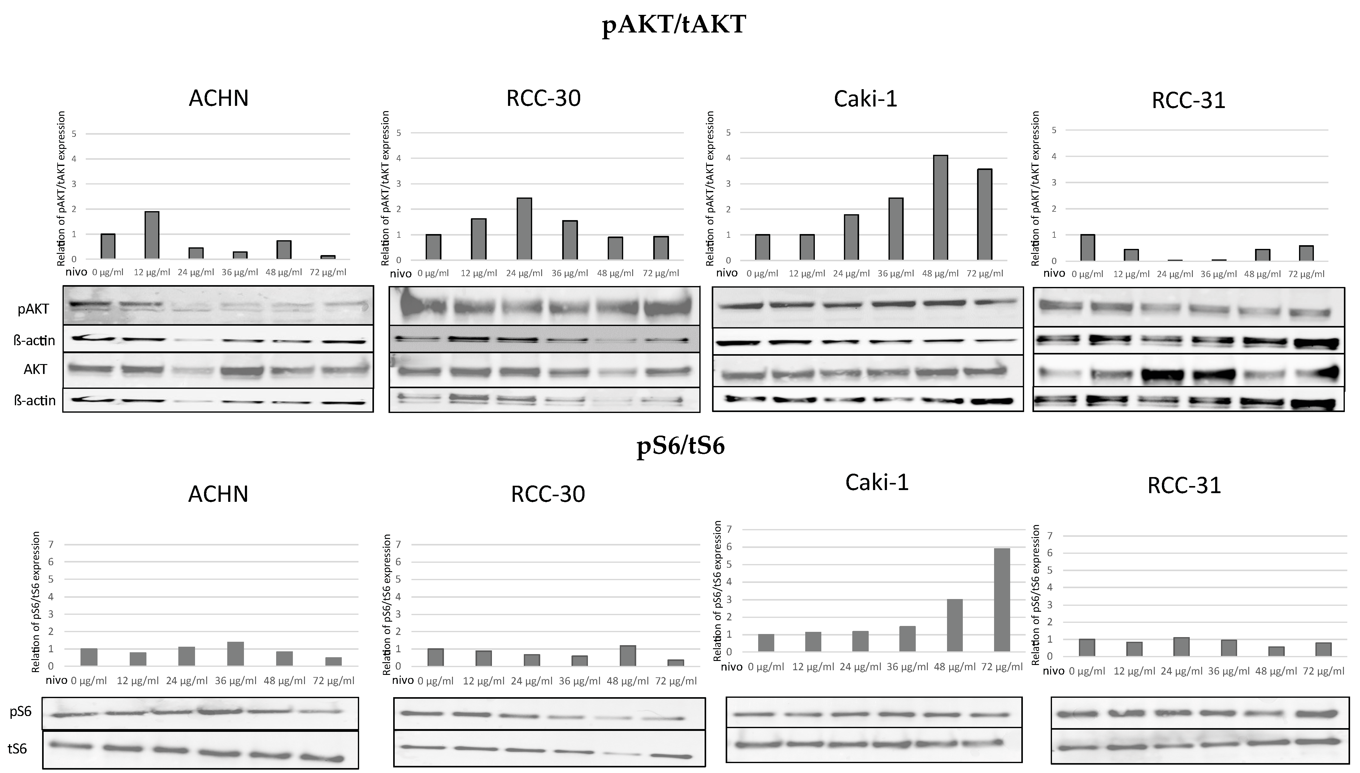 Biomedicines 10 03244 g002