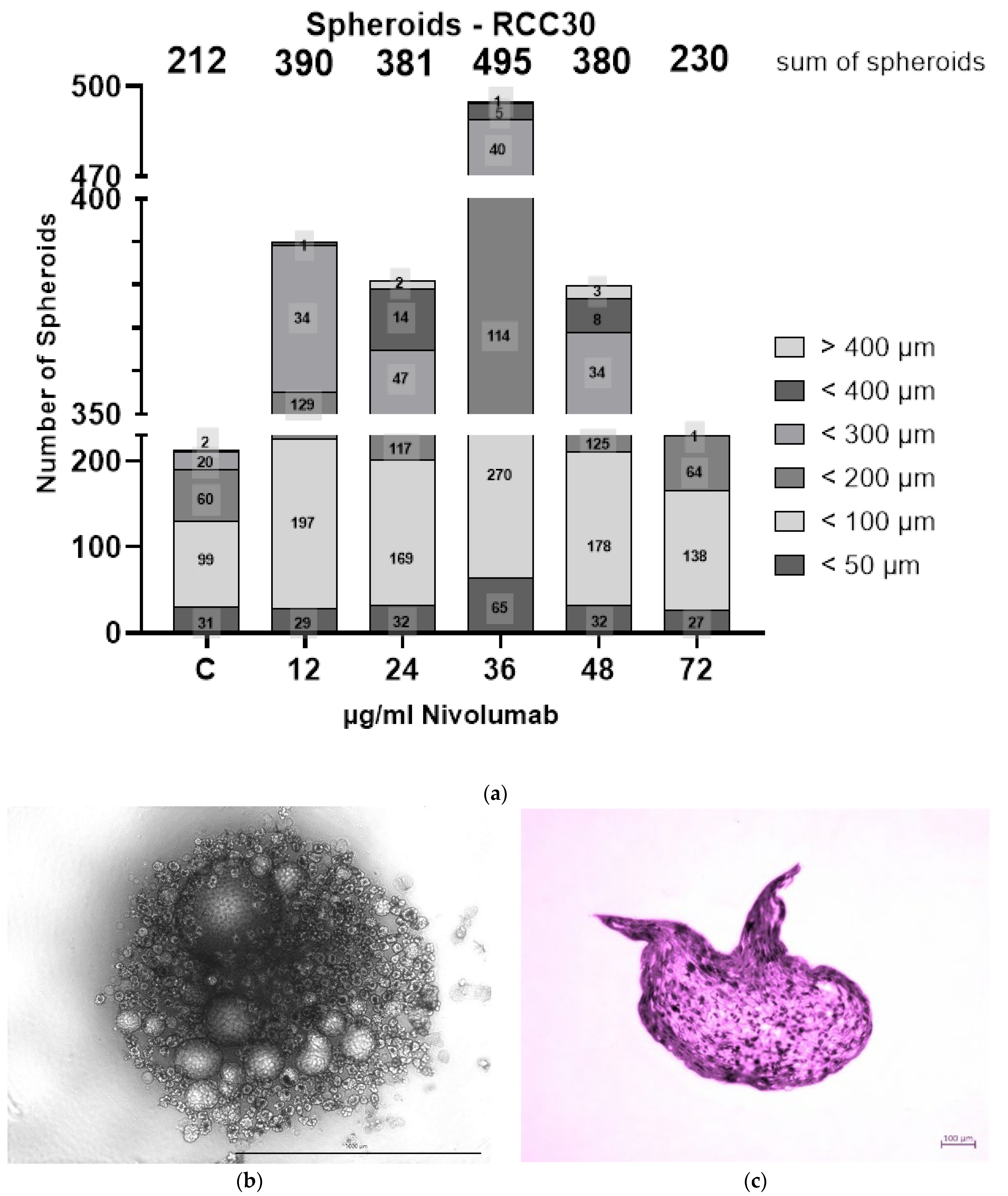 Biomedicines 10 03244 g005