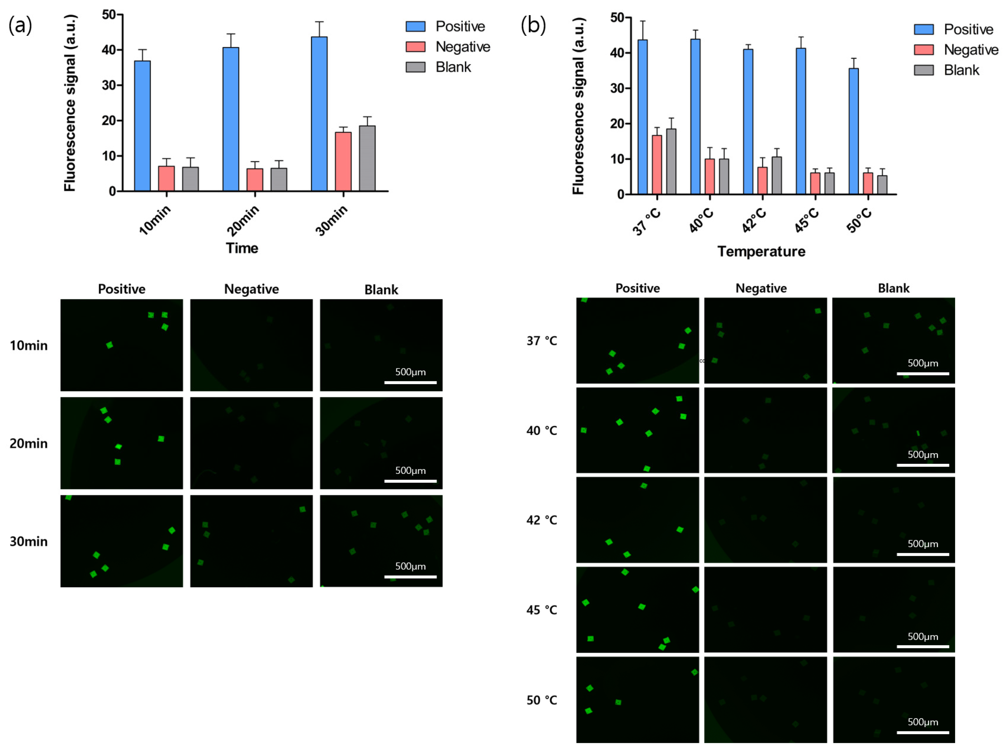 Biomedicines 10 03246 g002 Biomedicines 10 03246 g002