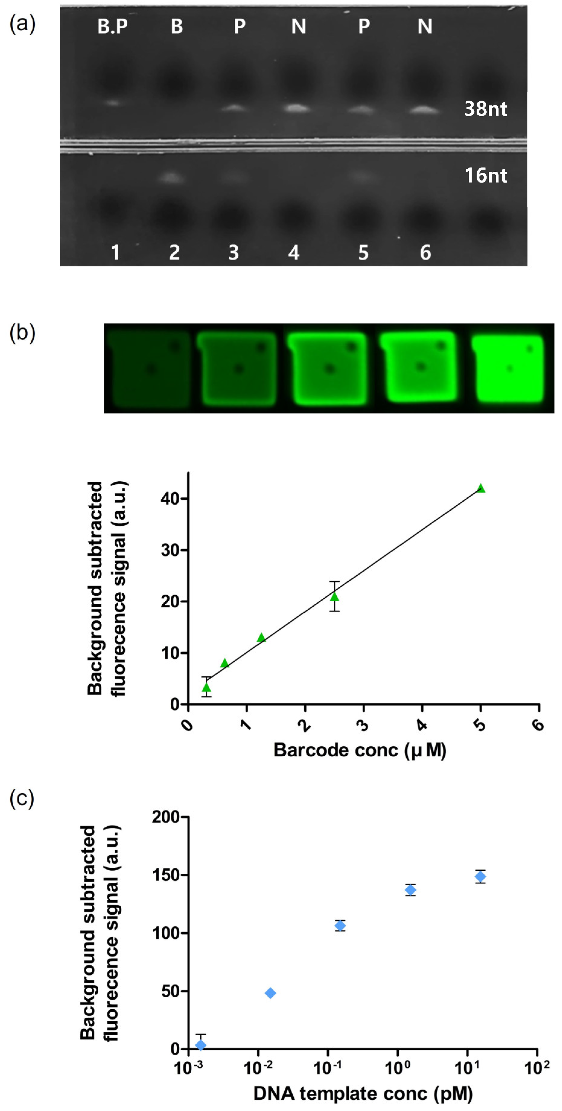 Biomedicines 10 03246 g003 Biomedicines 10 03246 g003