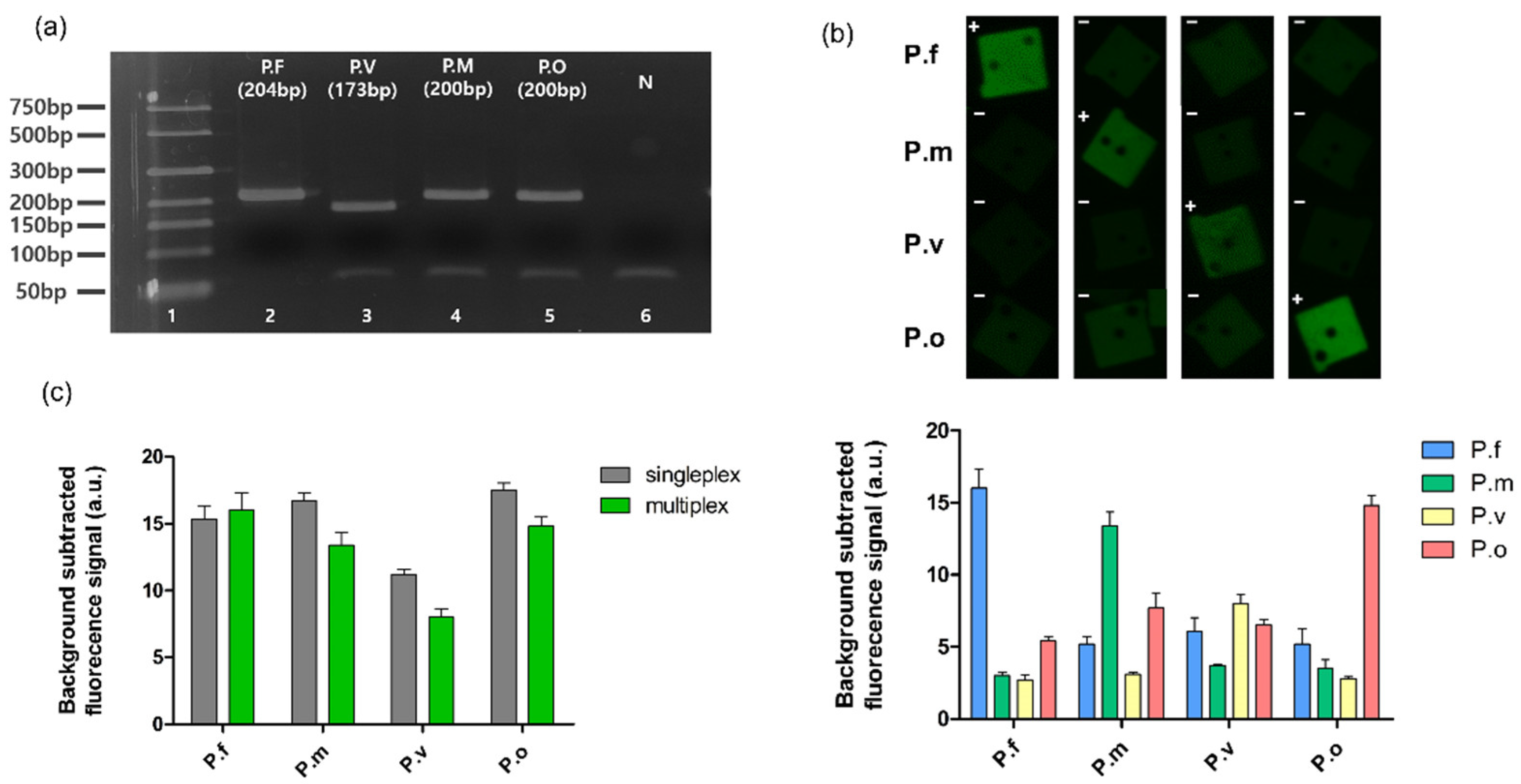 Biomedicines 10 03246 g004 Biomedicines 10 03246 g004