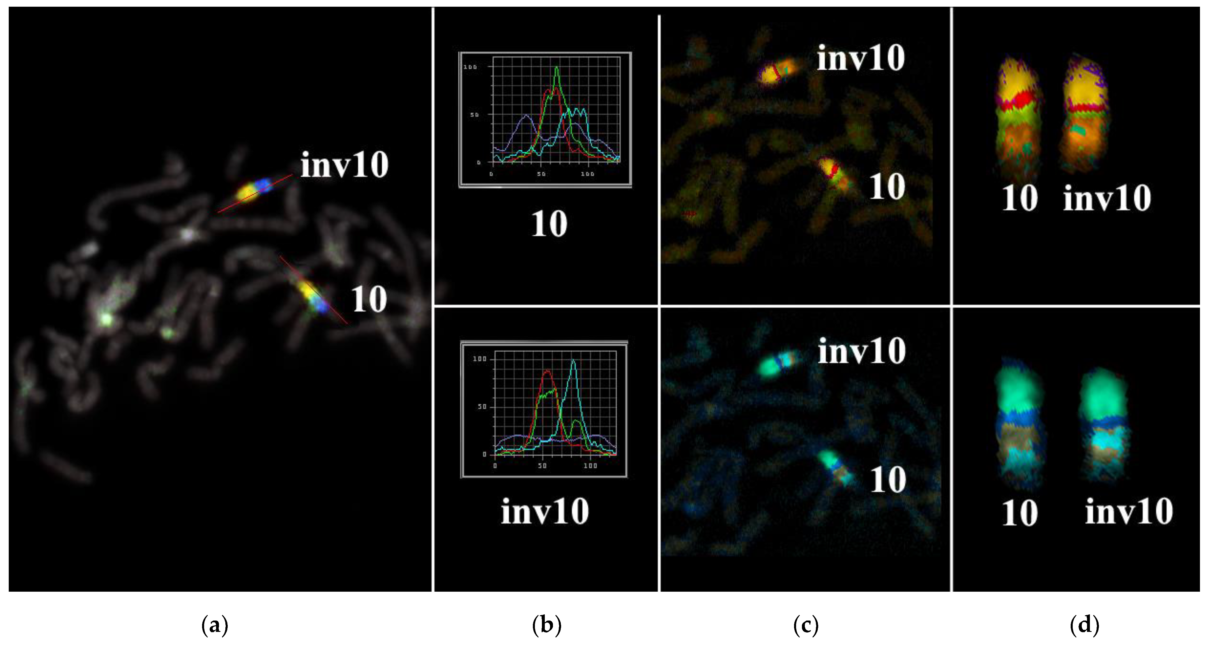 Biomedicines 10 03255 g003 Biomedicines 10 03255 g003
